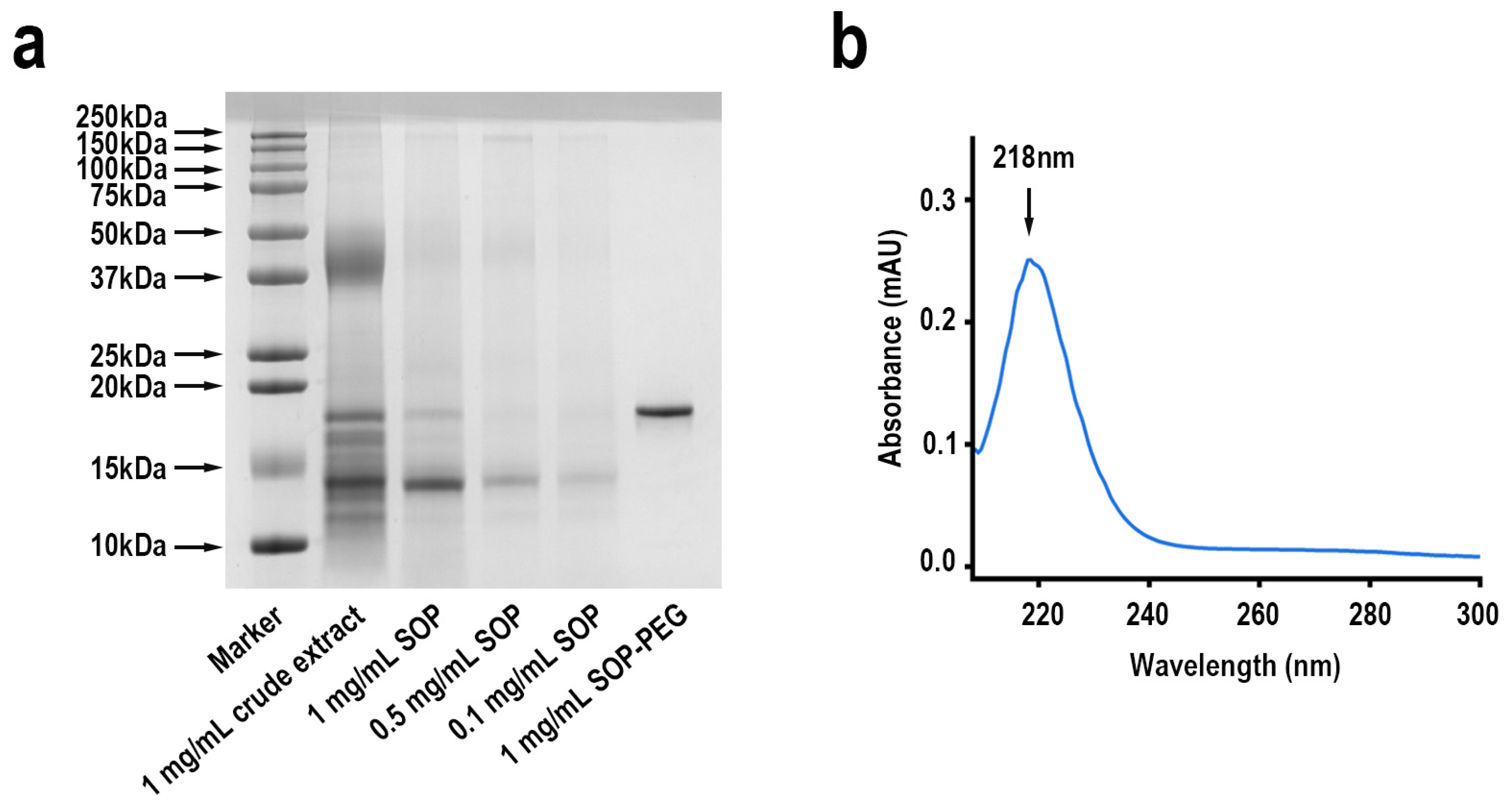 Ijms 26 01869 g002 Ijms 26 01869 g002