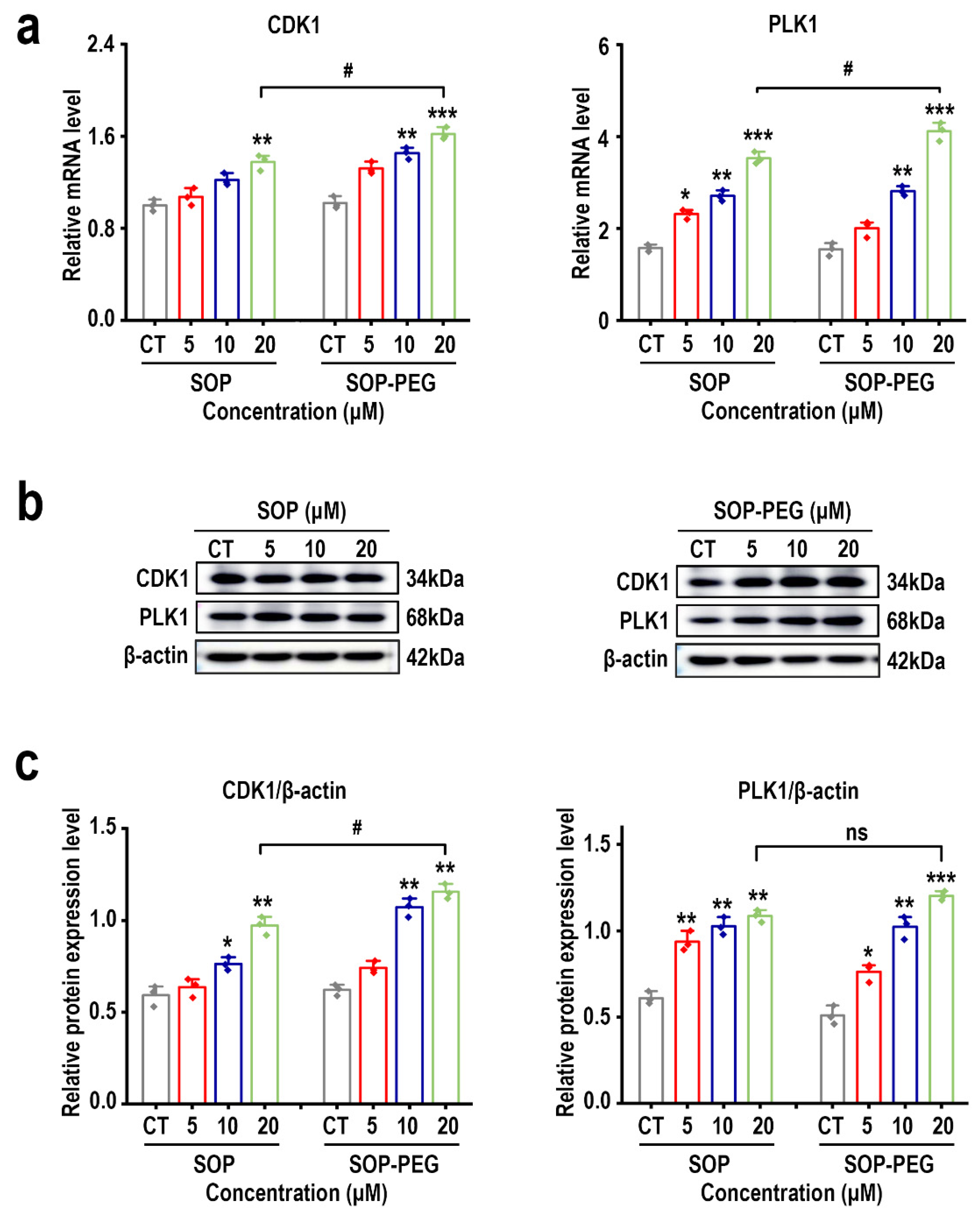 Ijms 26 01869 g006 Ijms 26 01869 g006