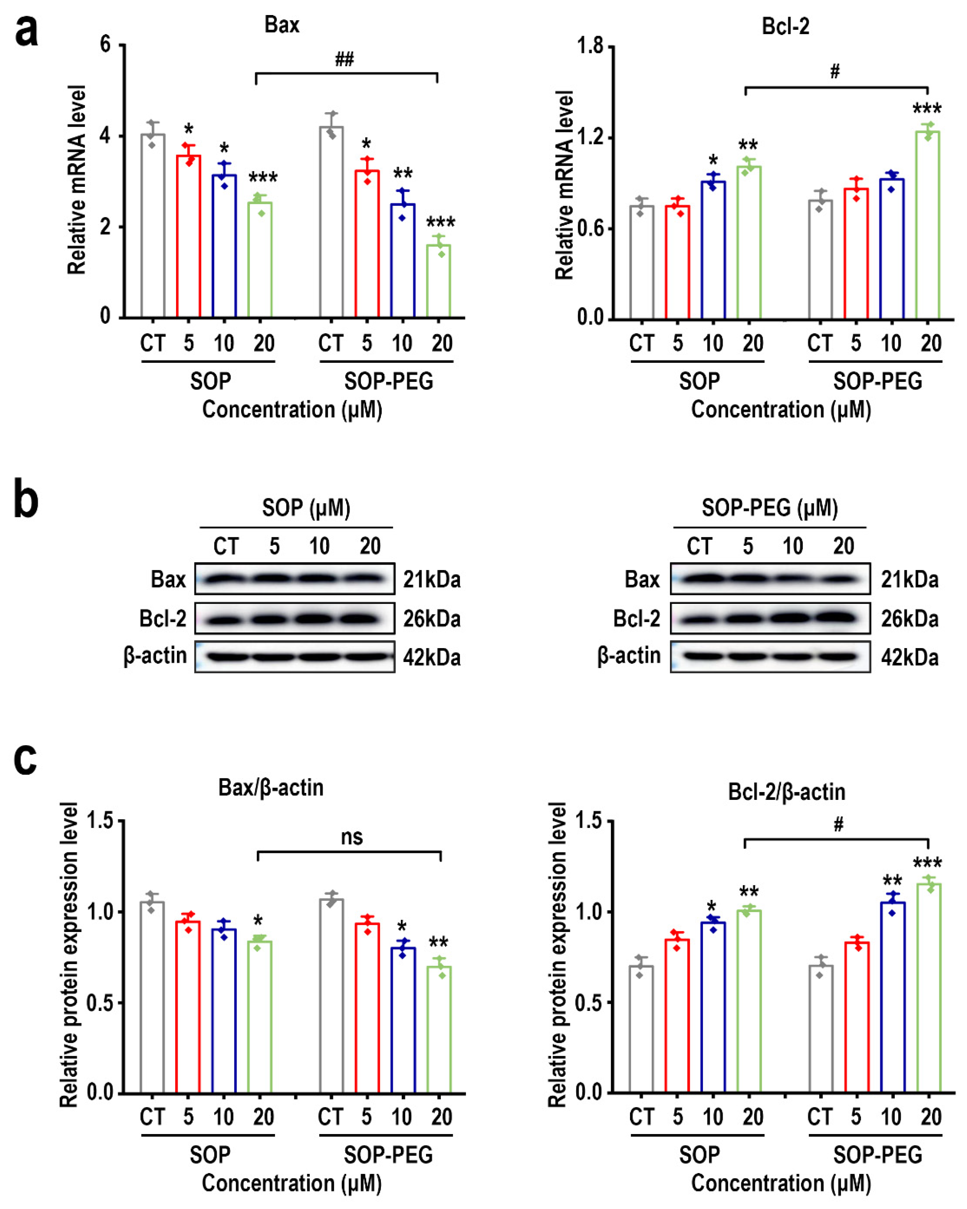 Ijms 26 01869 g008 Ijms 26 01869 g008