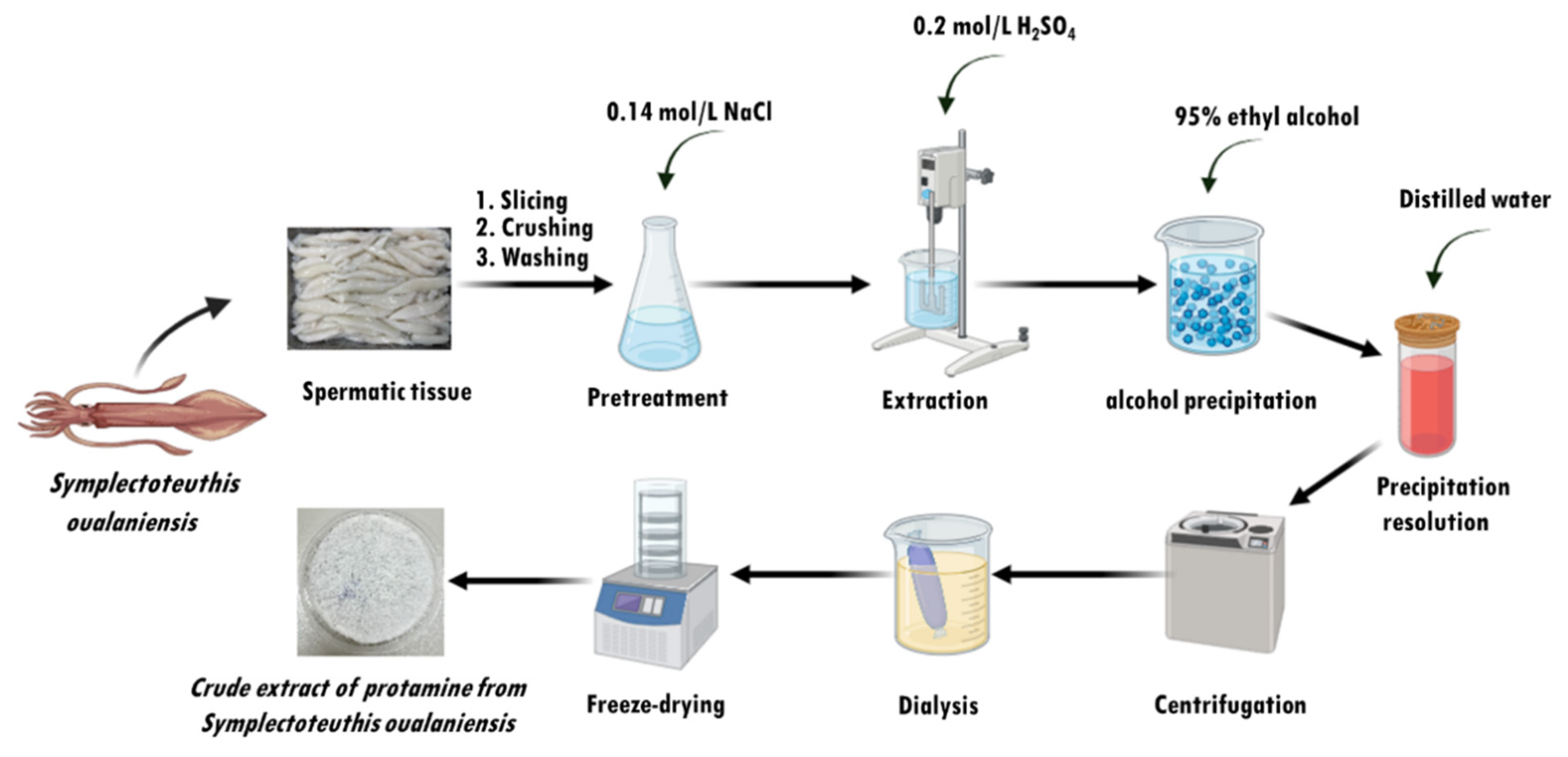 Ijms 26 01869 g009 Ijms 26 01869 g009