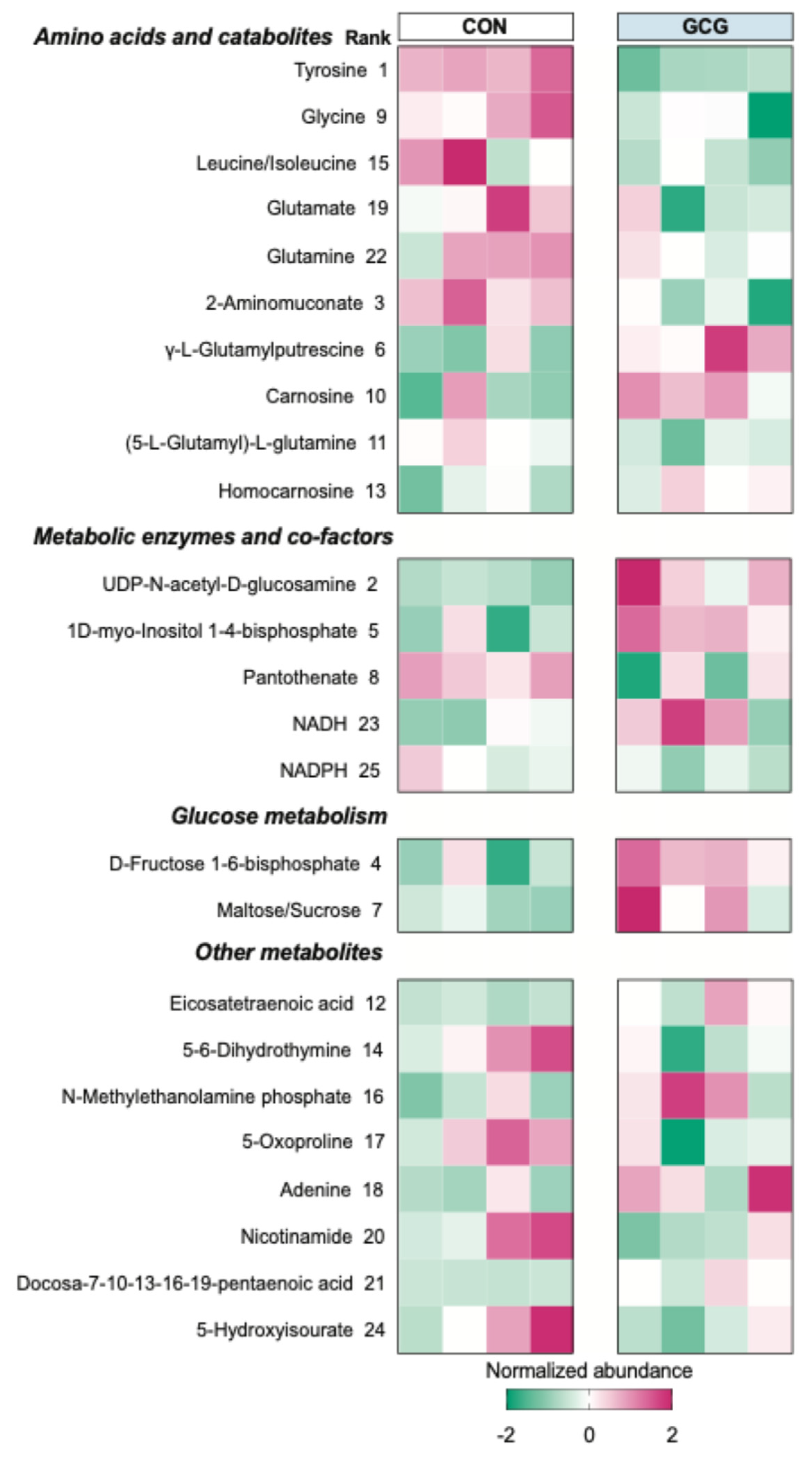 Ijms 26 01904 g004 Ijms 26 01904 g004