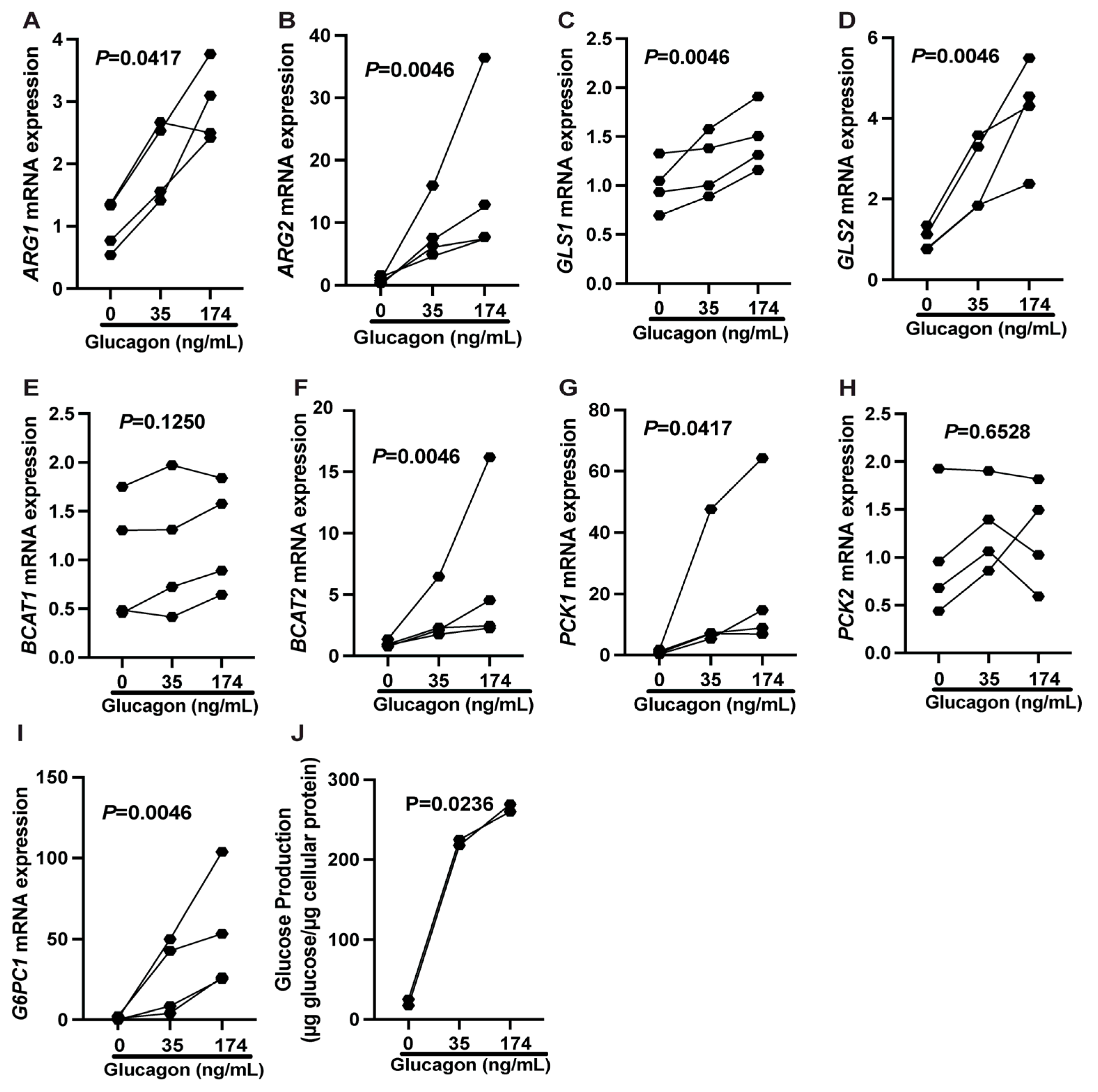 Ijms 26 01904 g006 Ijms 26 01904 g006