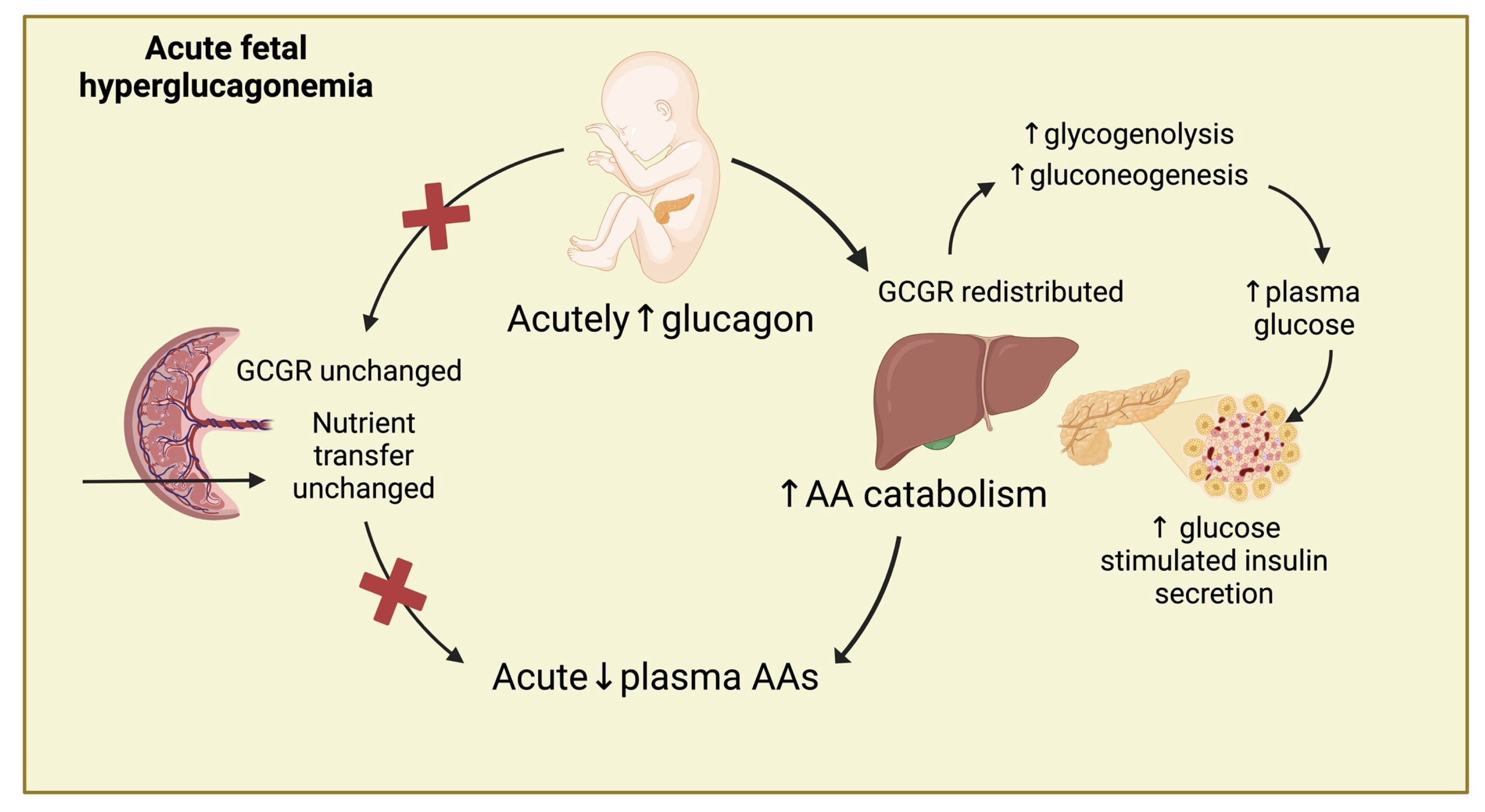 Ijms 26 01904 g007 Ijms 26 01904 g007