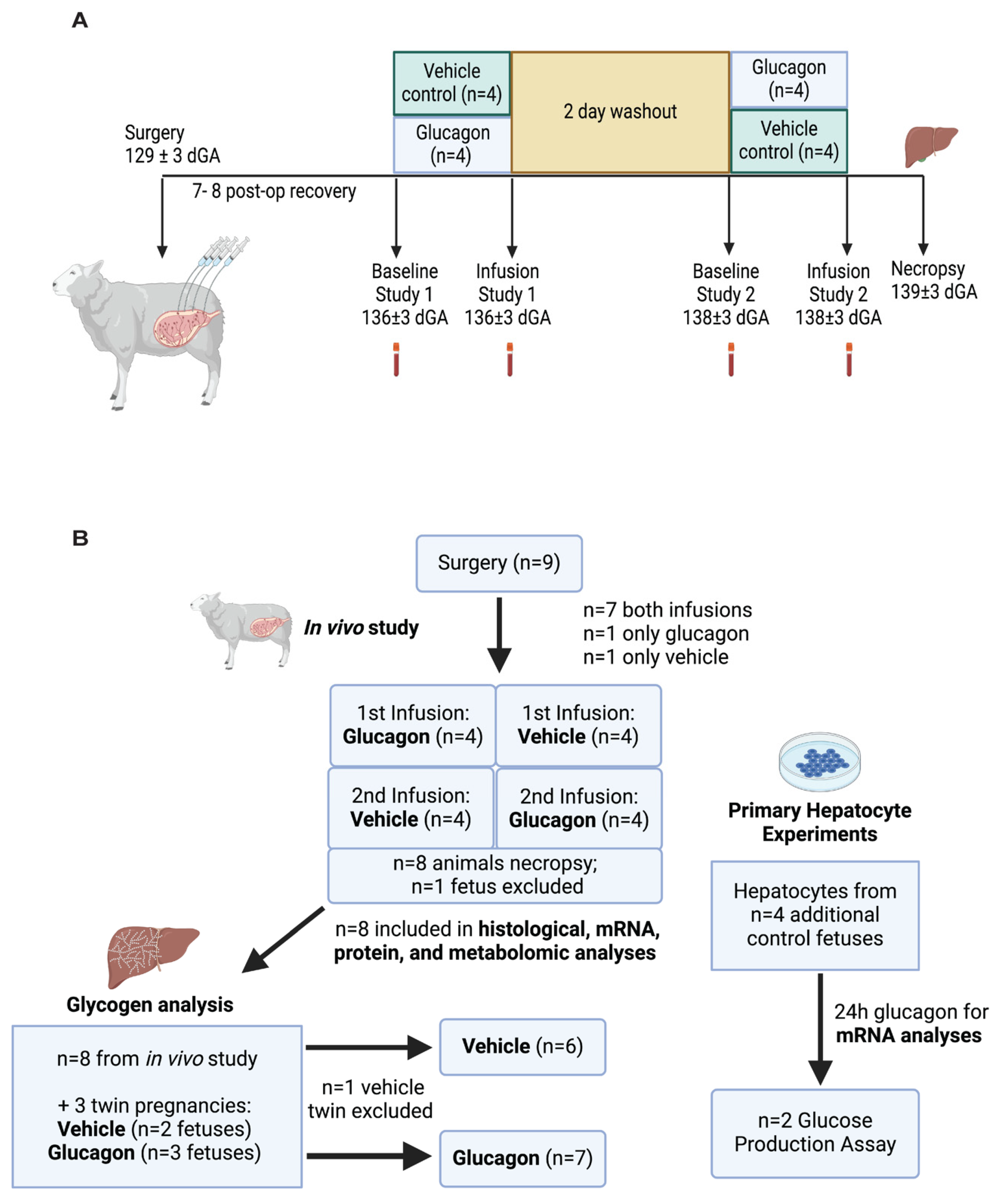Ijms 26 01904 g008 Ijms 26 01904 g008