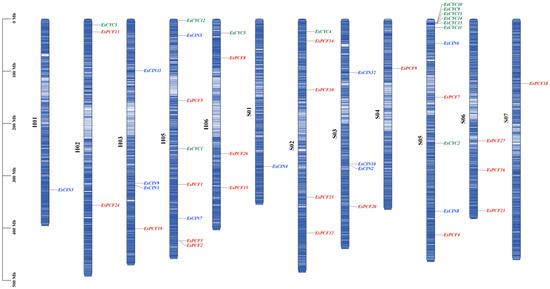 Genome-Wide Exploration and Characterization of the TCP Gene Family’s ...