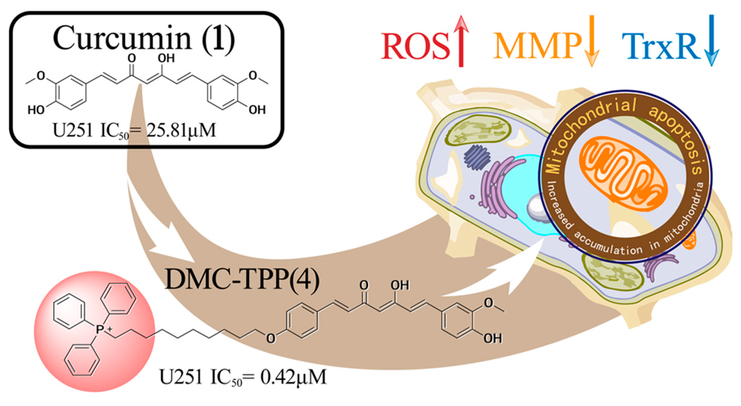 ls-models nude dasha The Small Molecules of Plant Origin with Anti-Glioma Activity