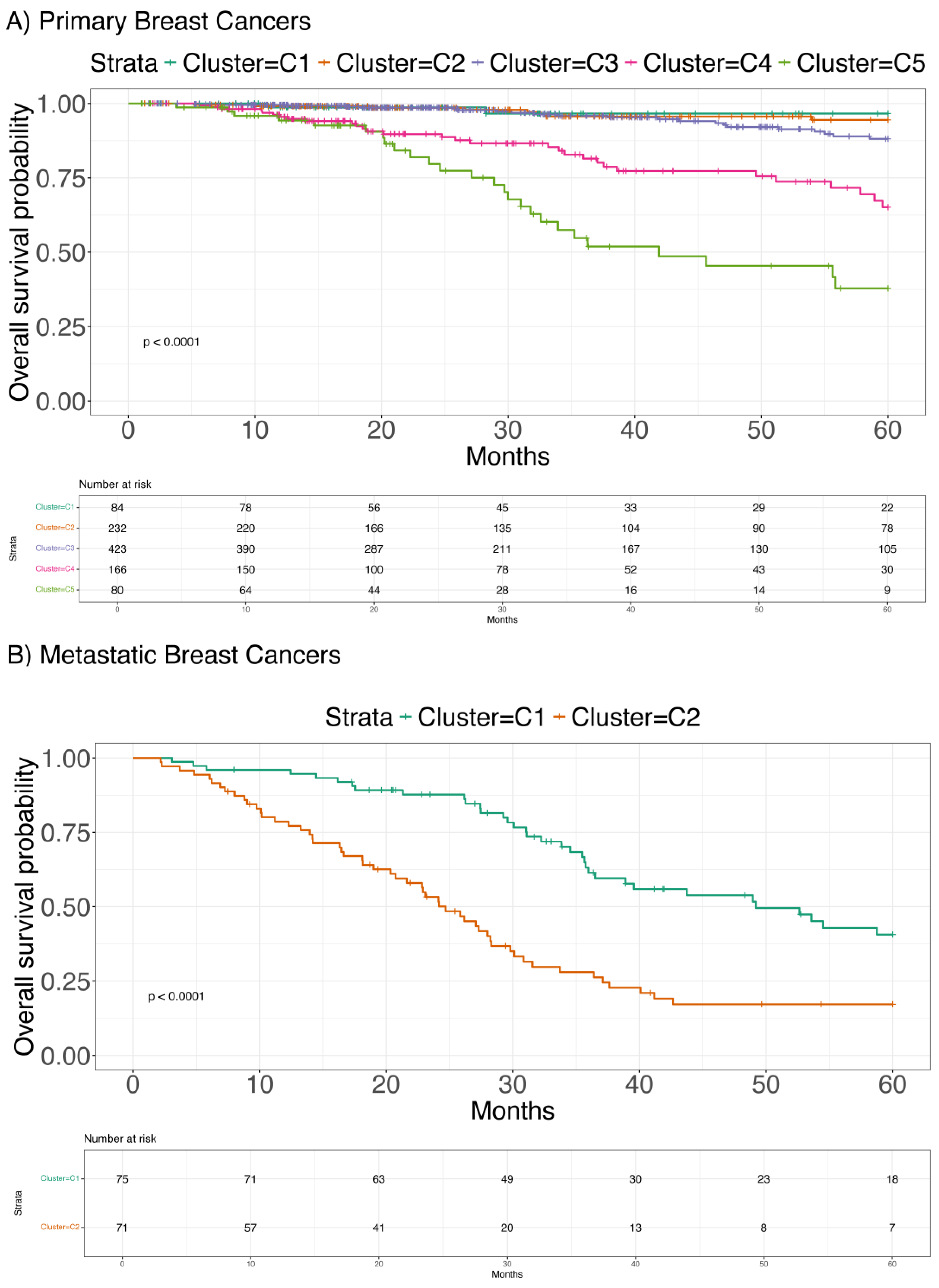 Ijms 26 01943 g001 Ijms 26 01943 g001