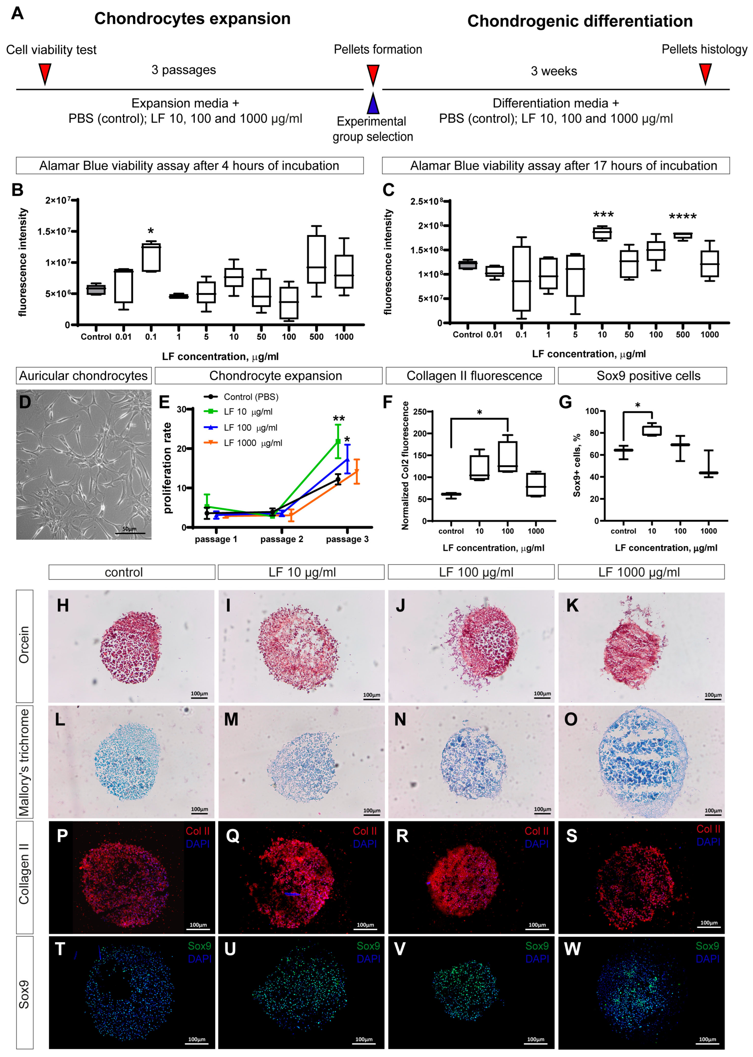 Ijms 26 01956 g001 Ijms 26 01956 g001