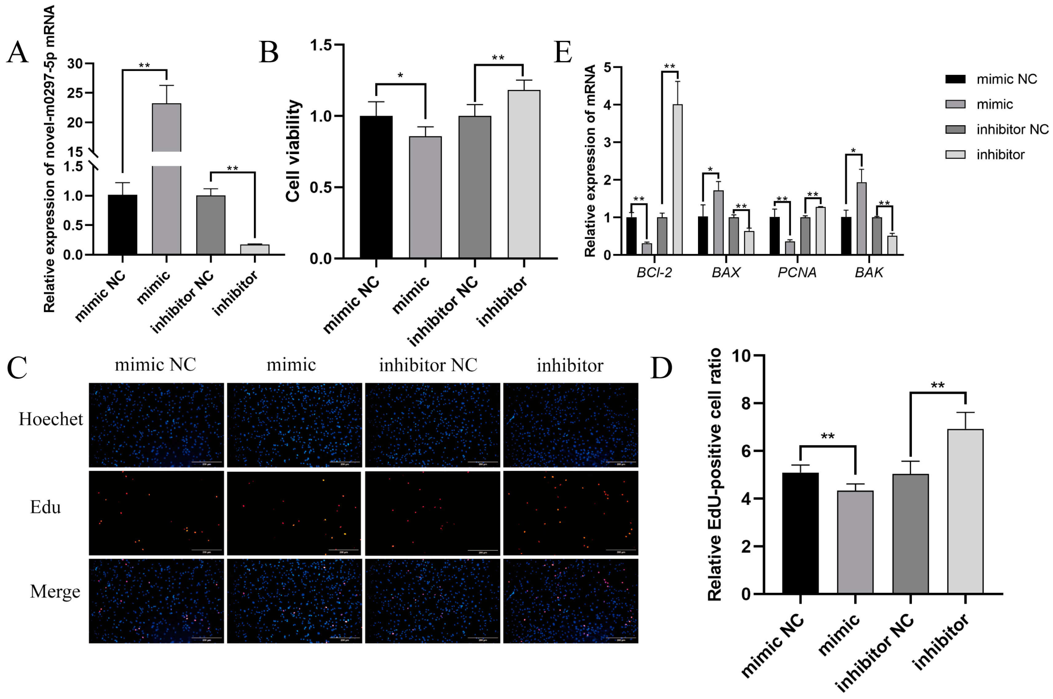 RE ADCY5 Gene Affects Seasonal Reproduction in Dairy Goats by
