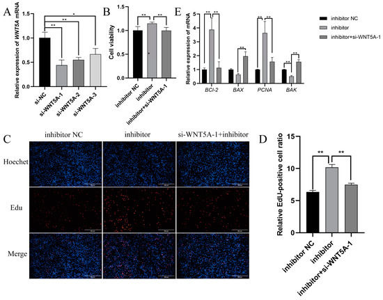 ＊専用ぺージ＊ Exosomal microRNAs in common mental disorders: Mechanisms