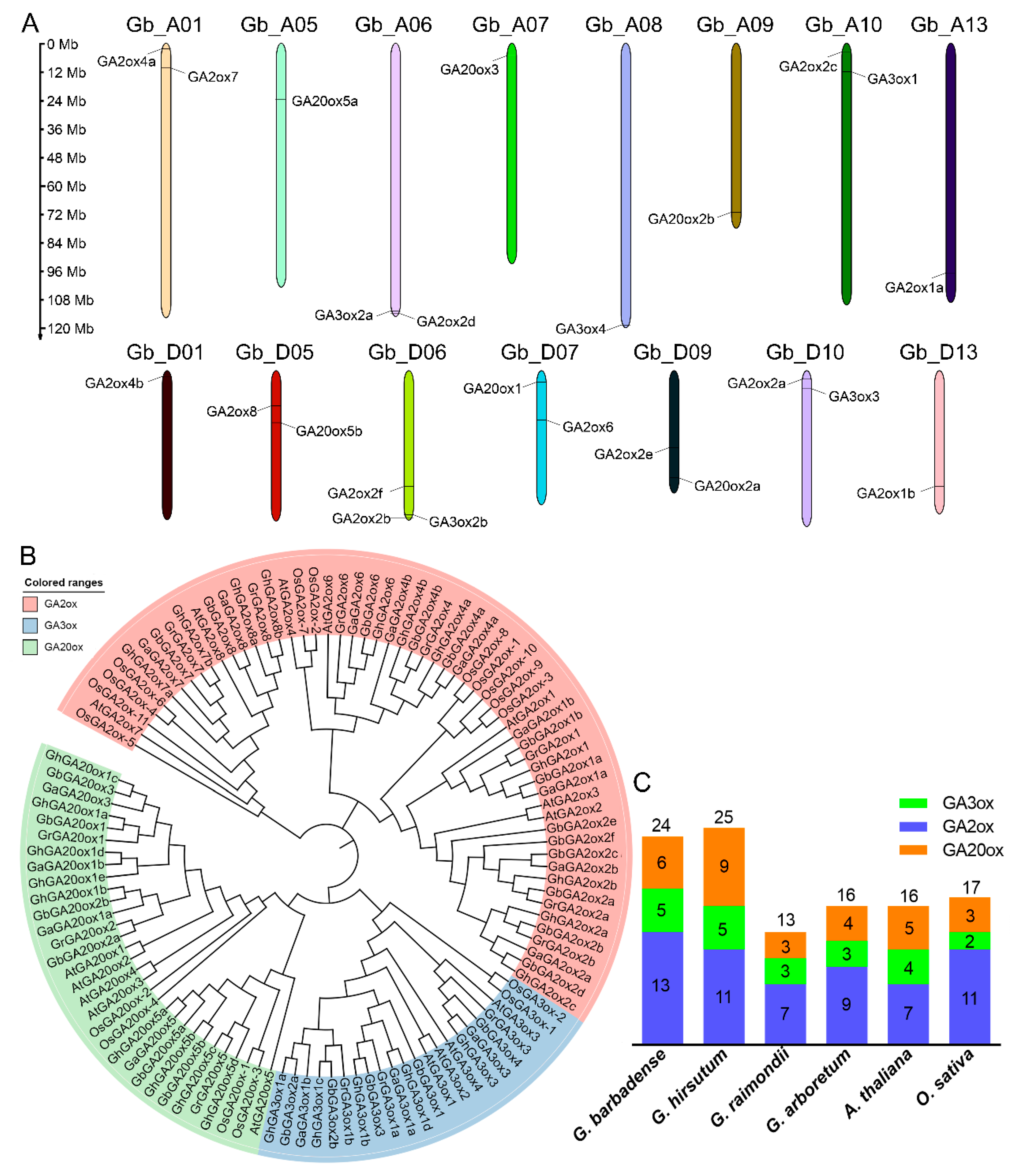 Ijms 26 01985 g001 Ijms 26 01985 g001