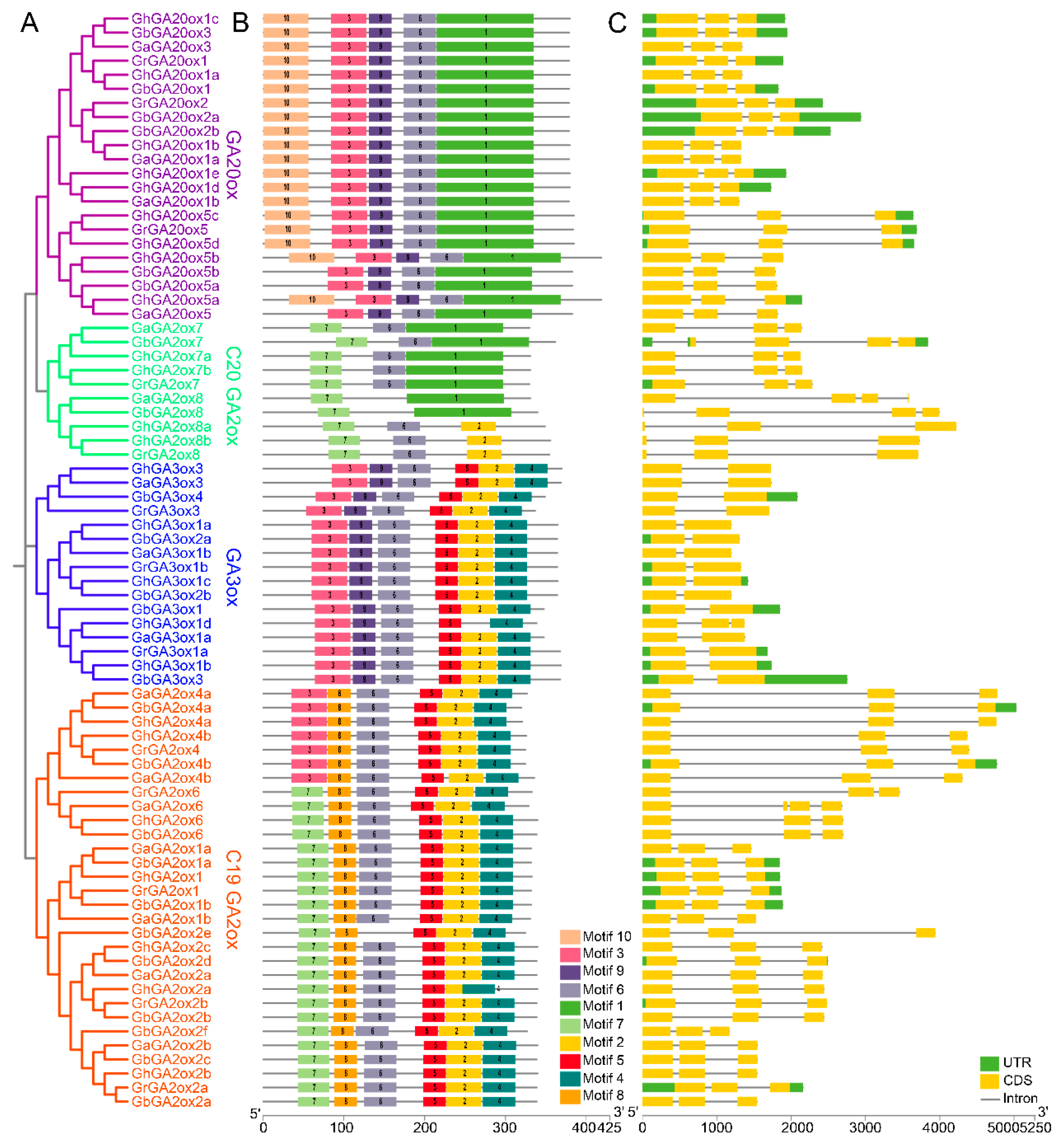 Ijms 26 01985 g002 Ijms 26 01985 g002