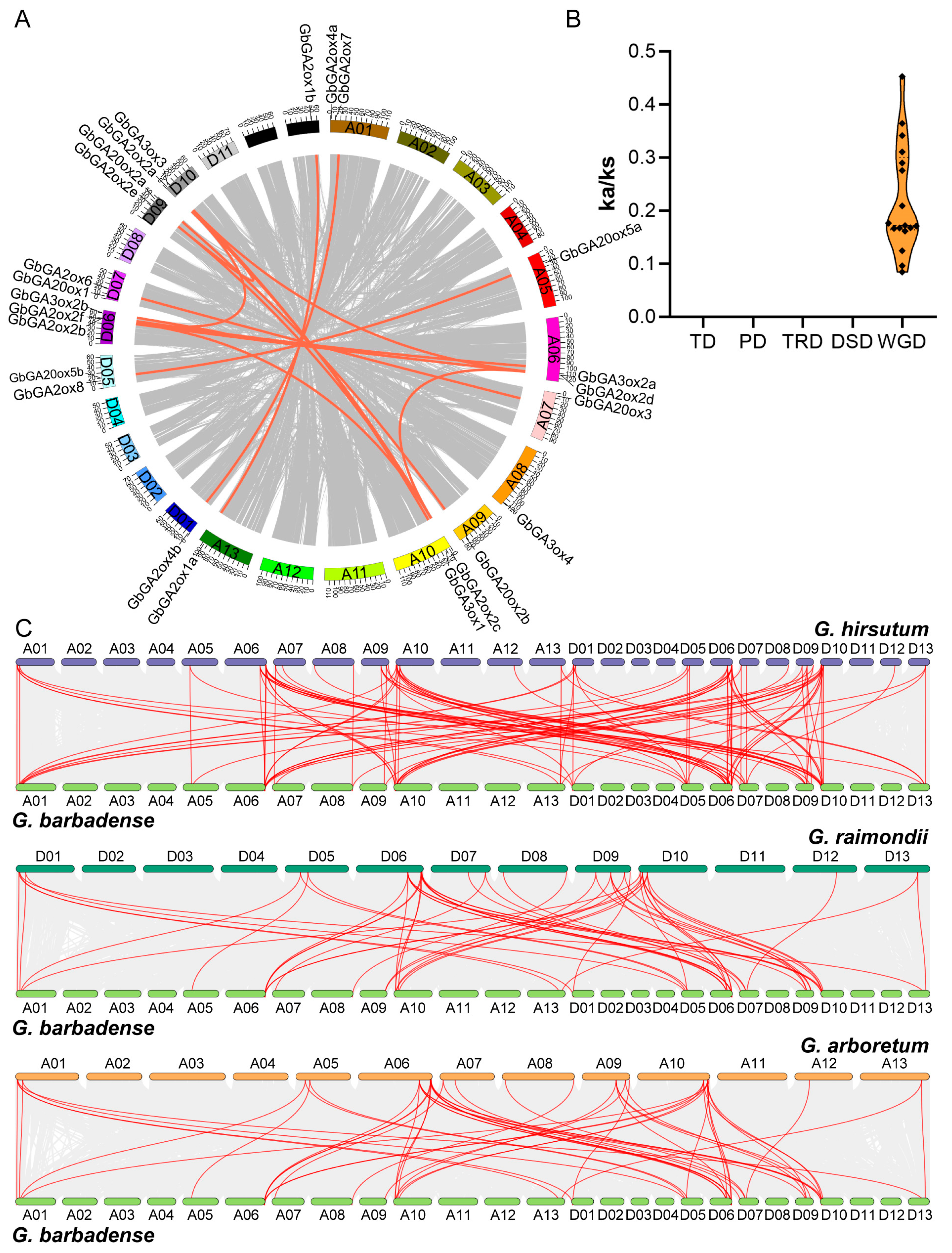 Ijms 26 01985 g003 Ijms 26 01985 g003