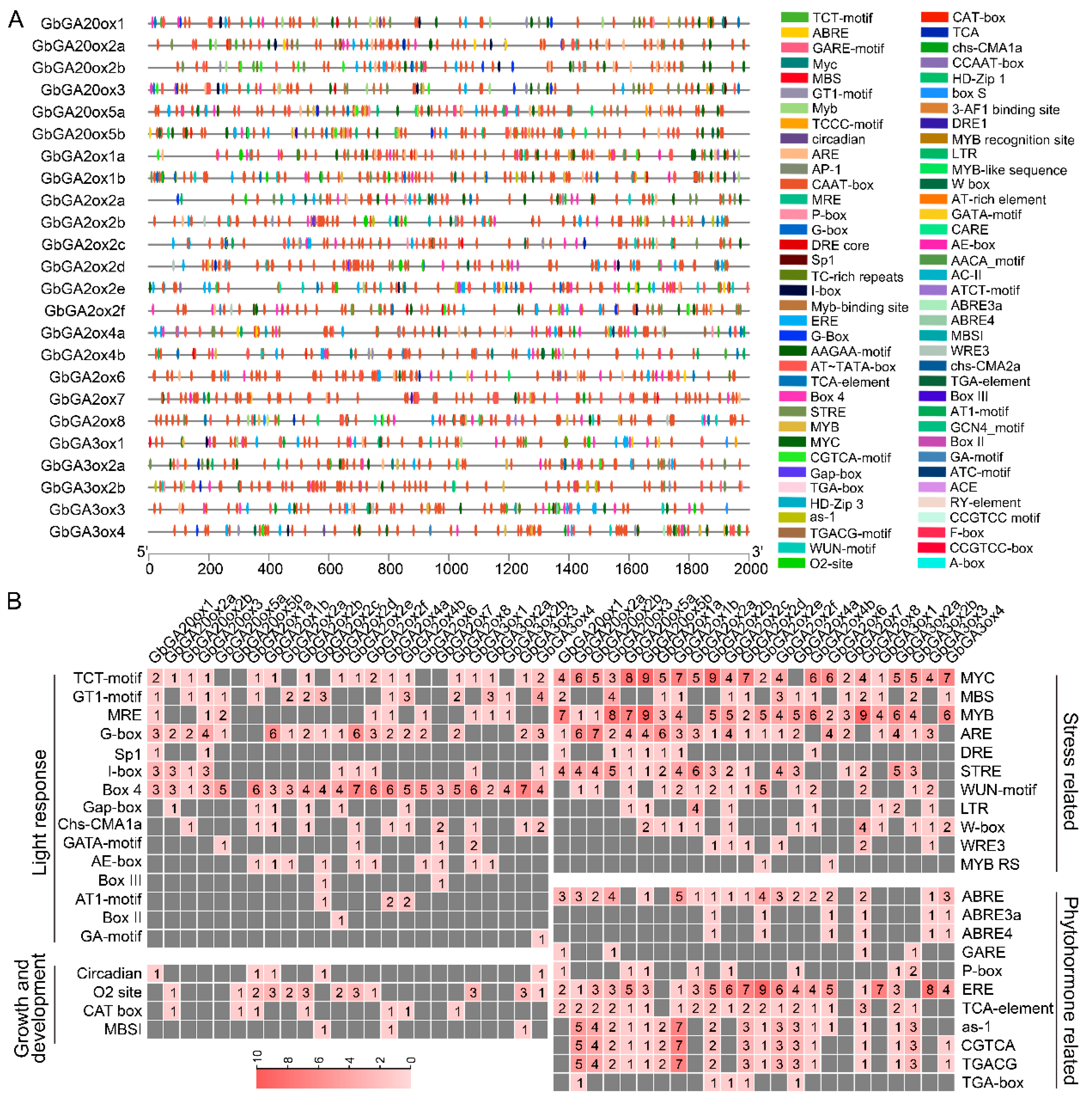 Ijms 26 01985 g004 Ijms 26 01985 g004