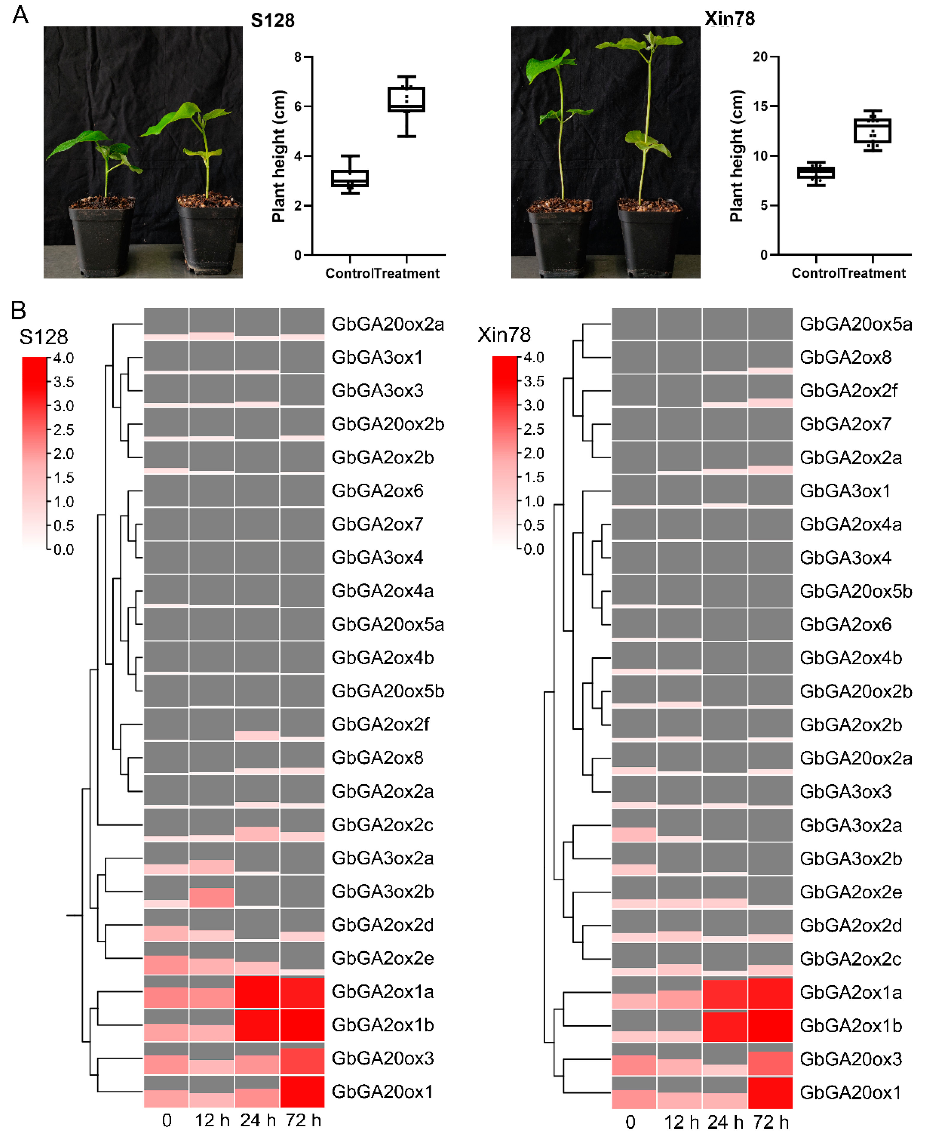 Ijms 26 01985 g005 Ijms 26 01985 g005