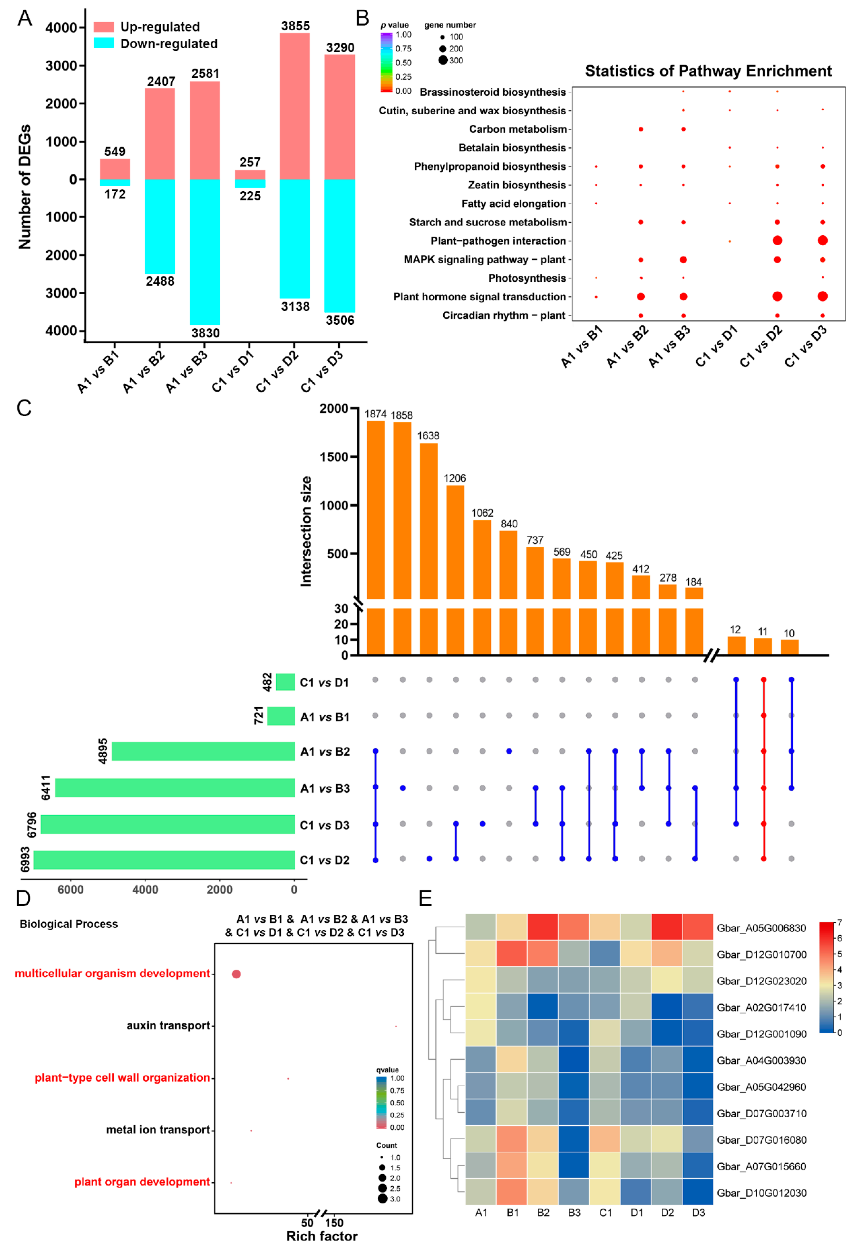 Ijms 26 01985 g006 Ijms 26 01985 g006