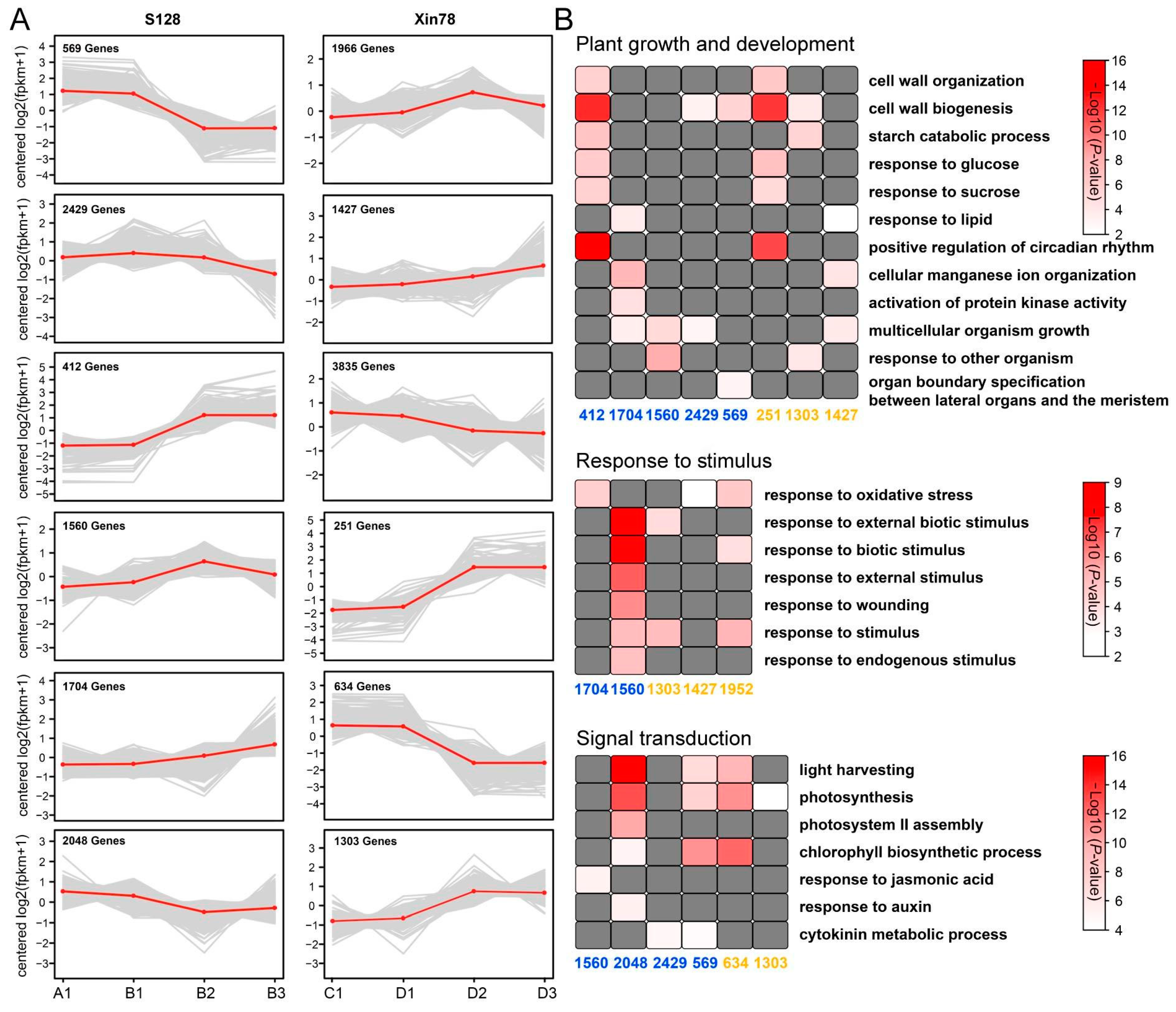 Ijms 26 01985 g007 Ijms 26 01985 g007