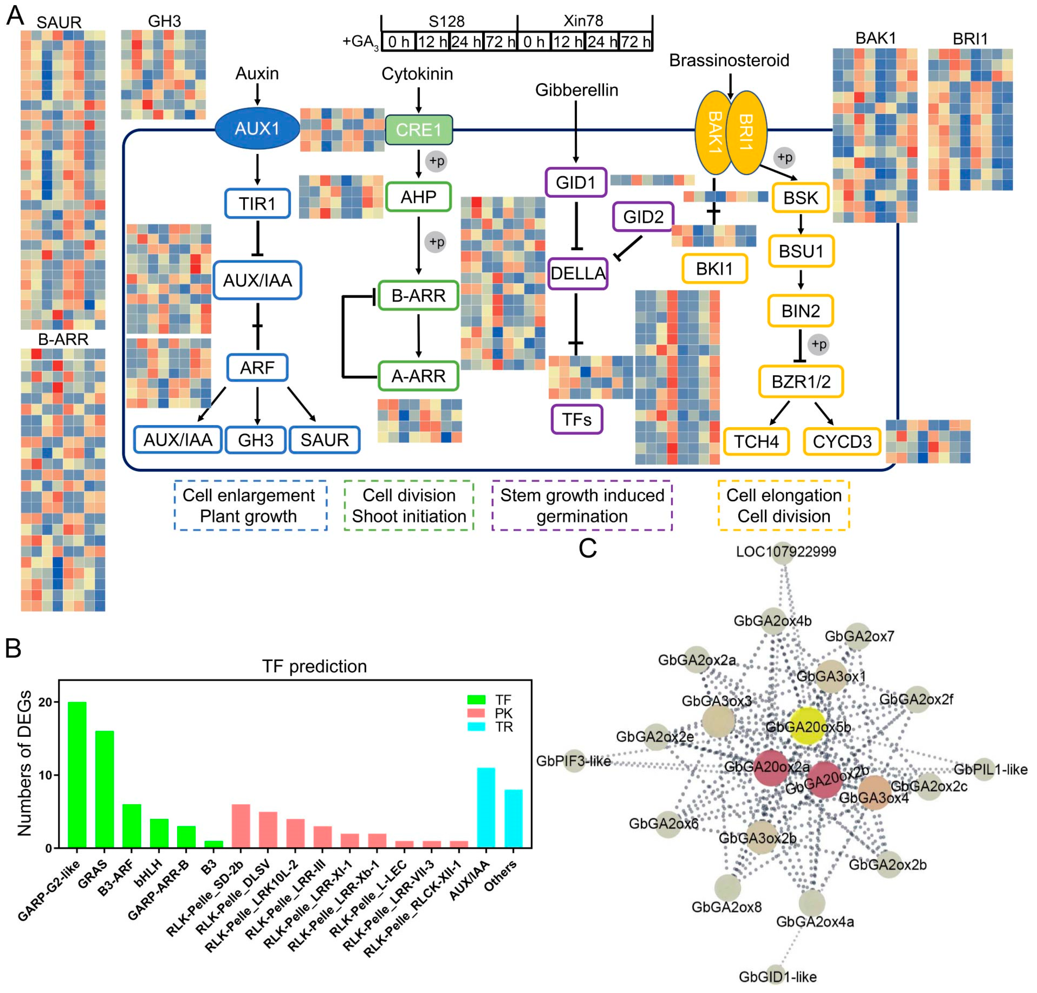 Ijms 26 01985 g008 Ijms 26 01985 g008