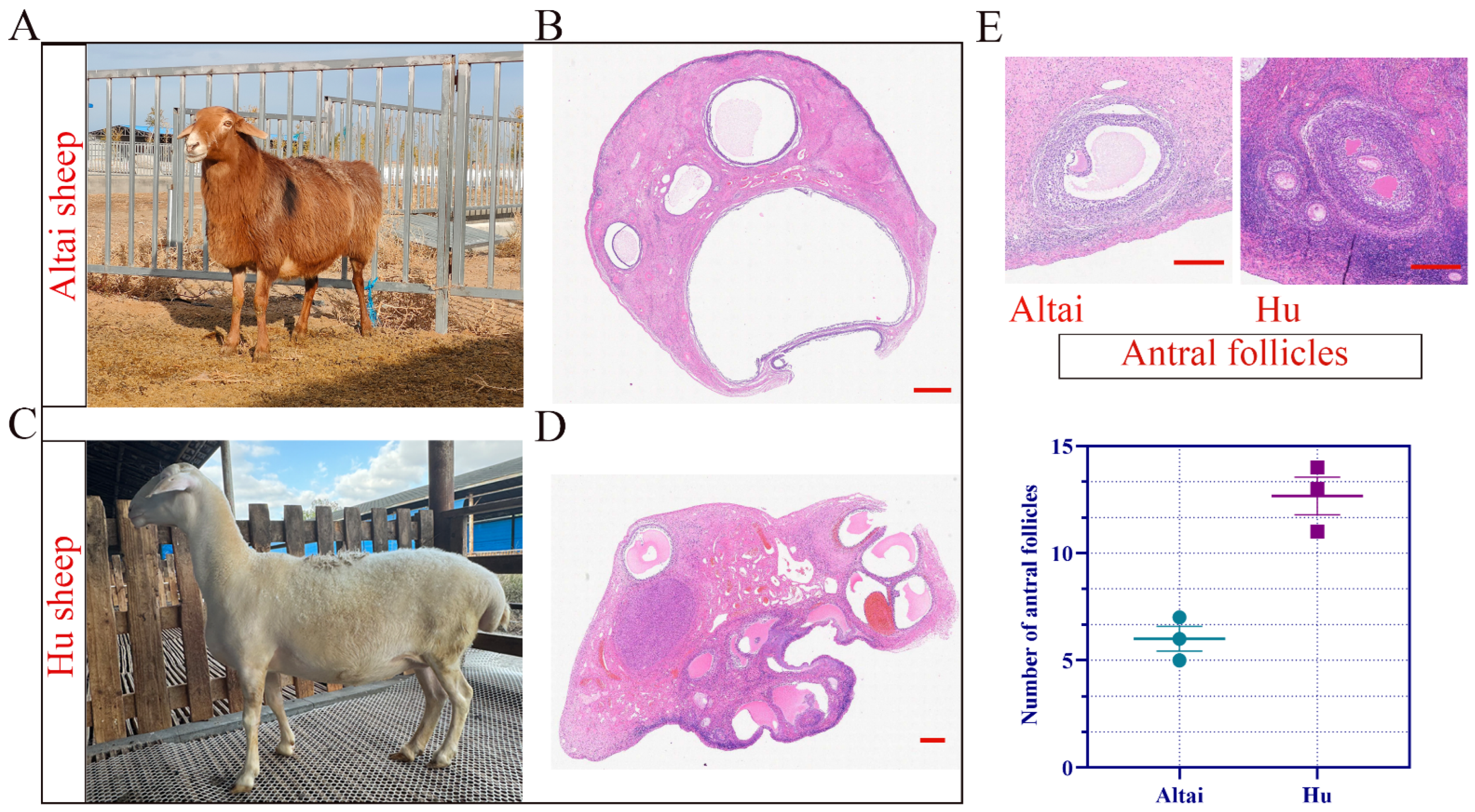 Ijms 26 01989 g002 Ijms 26 01989 g002