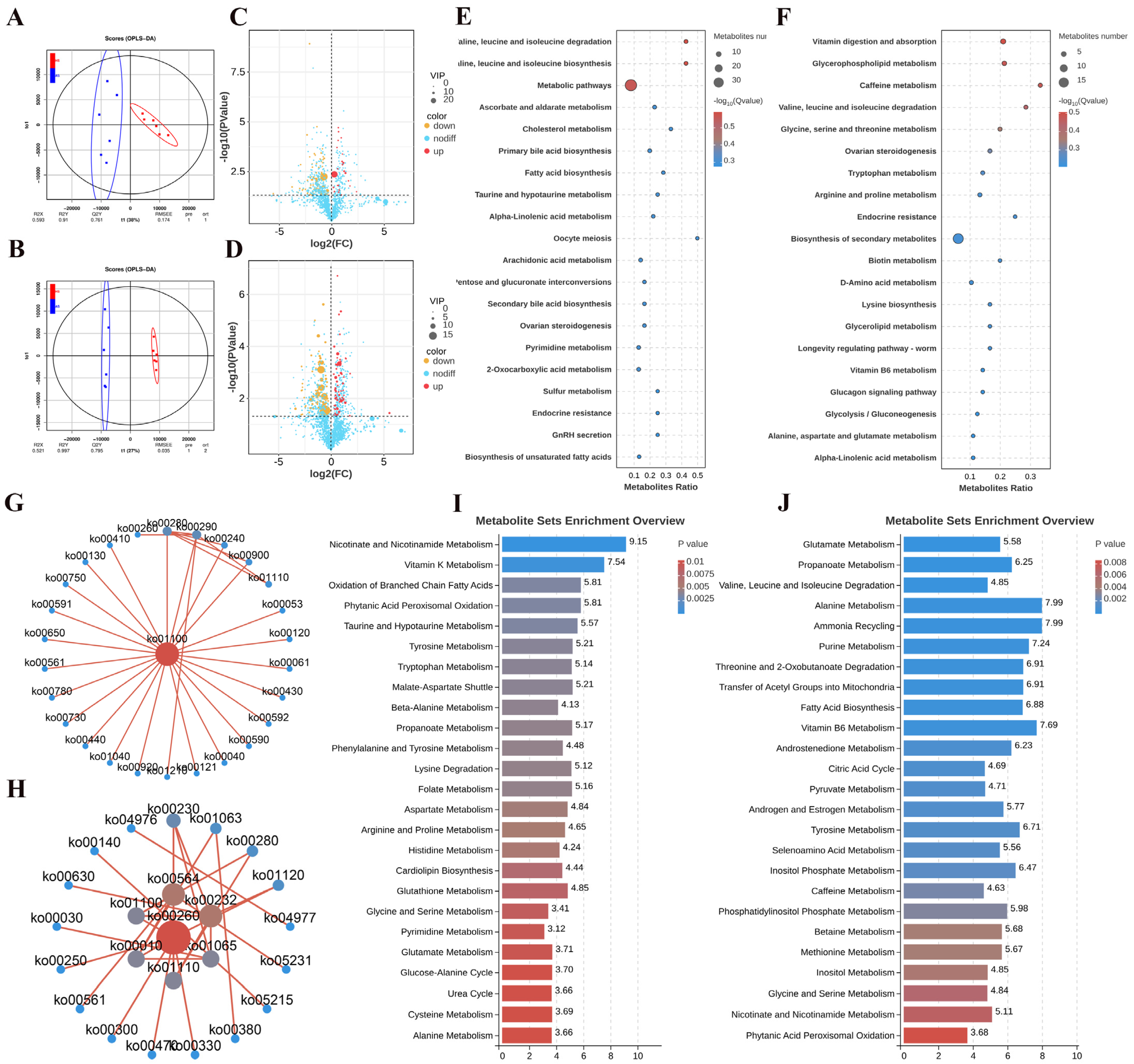 Ijms 26 01989 g004 Ijms 26 01989 g004