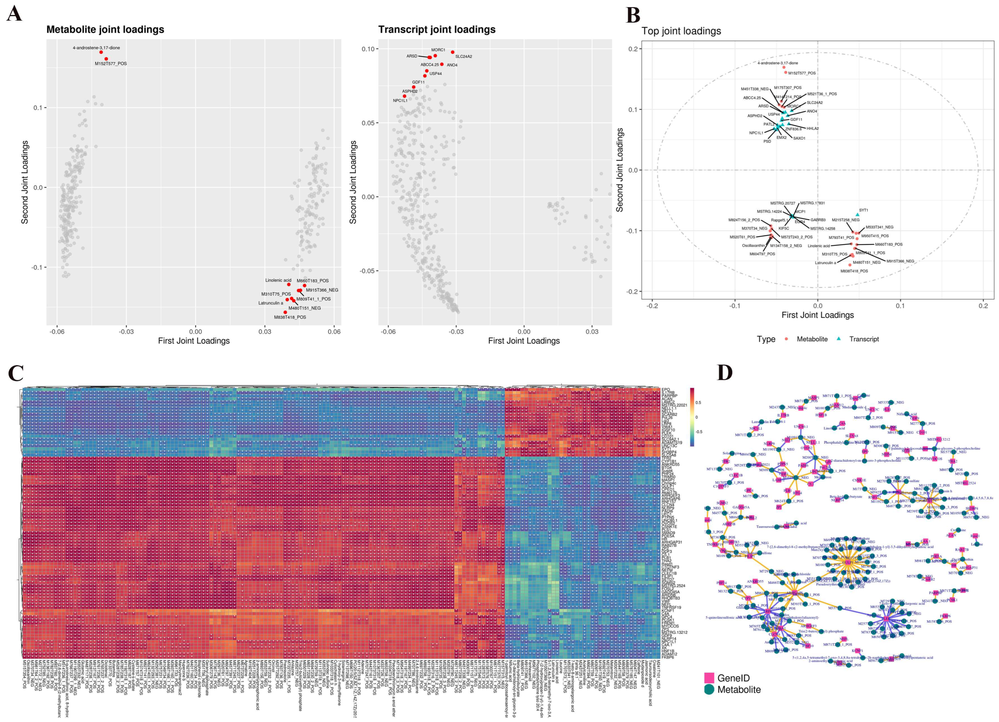 Ijms 26 01989 g005 Ijms 26 01989 g005
