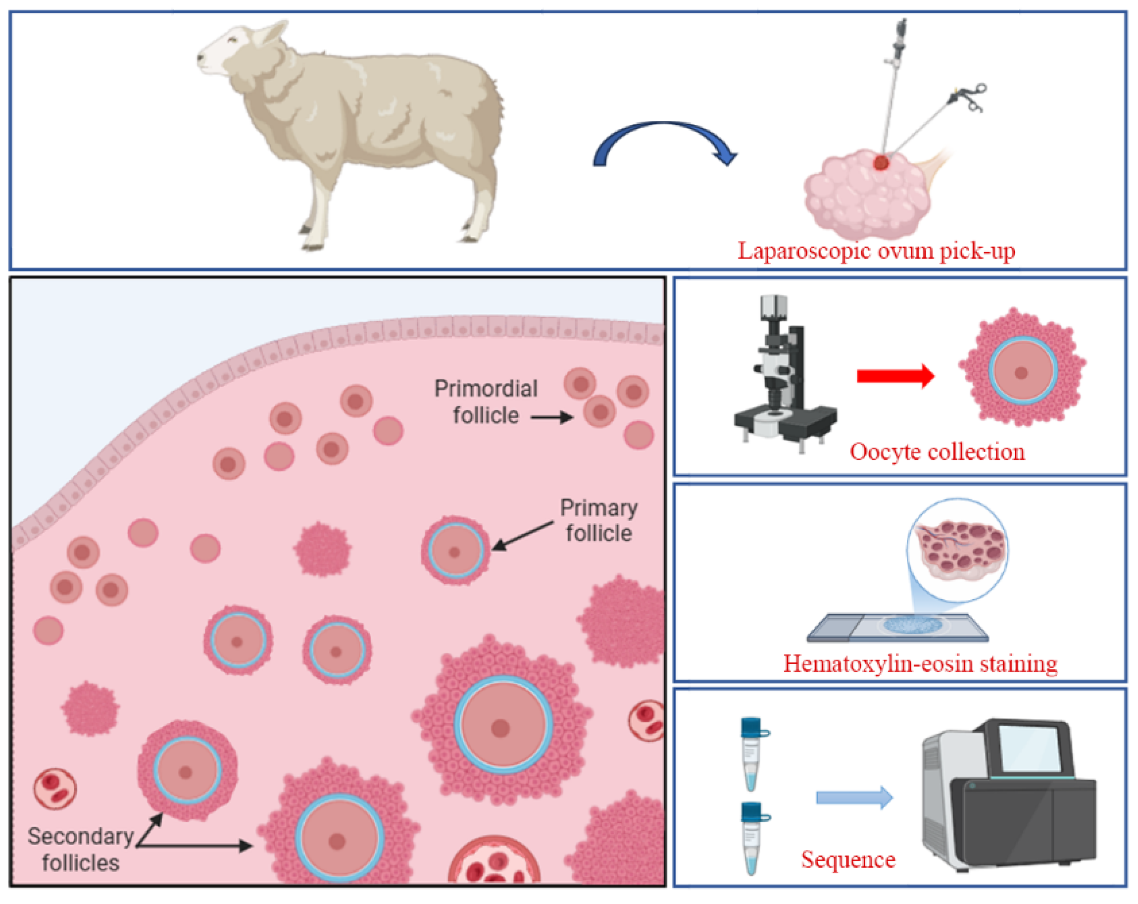 Ijms 26 01989 g006 Ijms 26 01989 g006