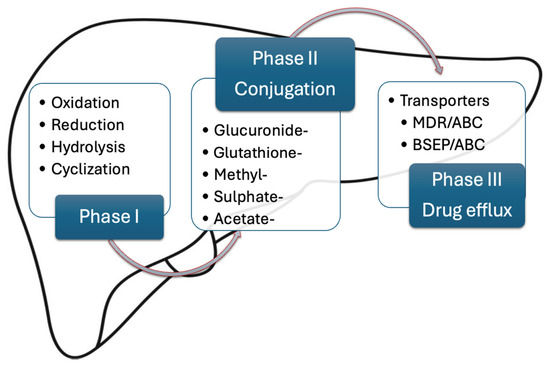 Drug-Induced Liver Injury—Pharmacological Spectrum Among