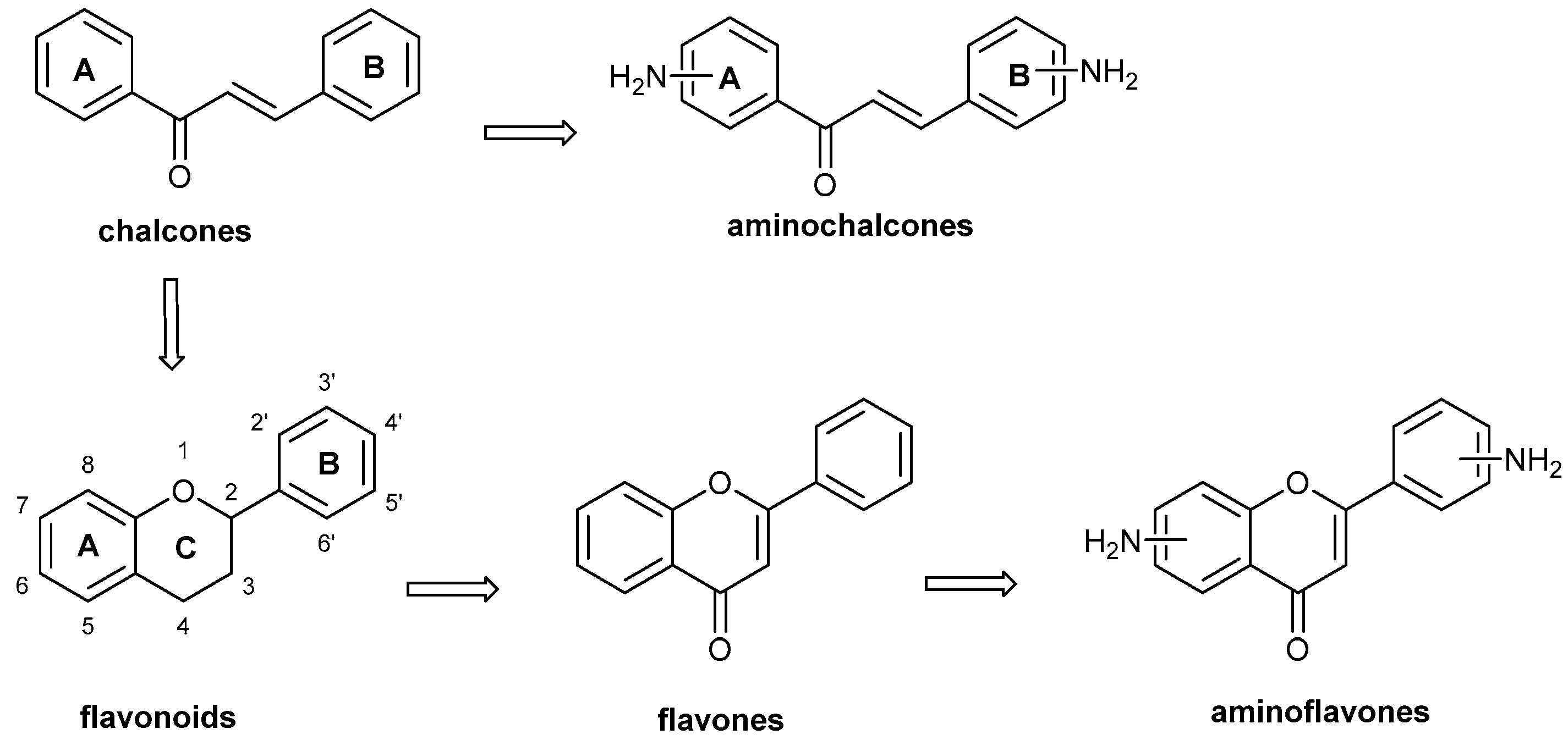 Ijms 26 02014 sch001