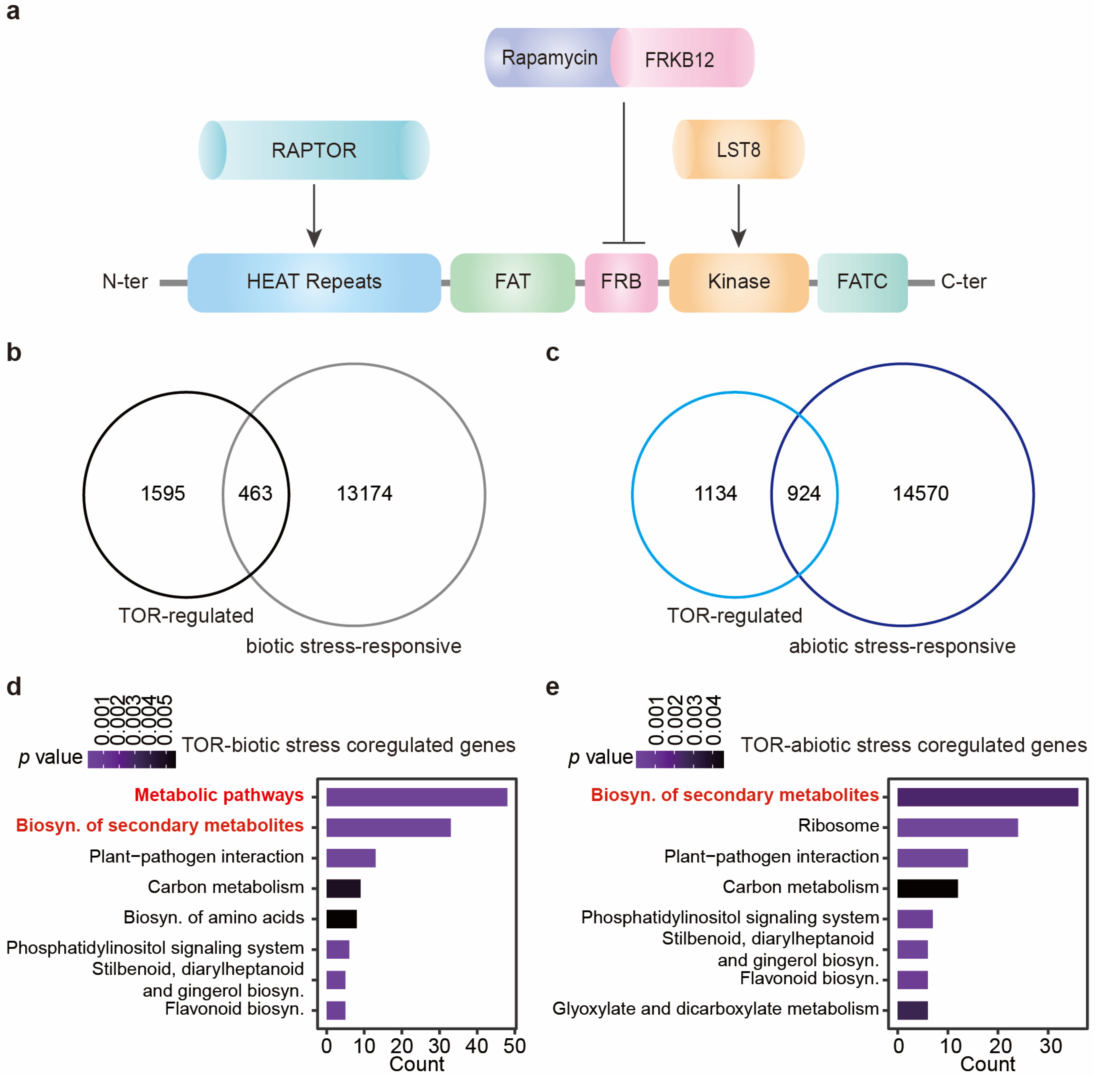 Ijms 26 02095 g001 Ijms 26 02095 g001