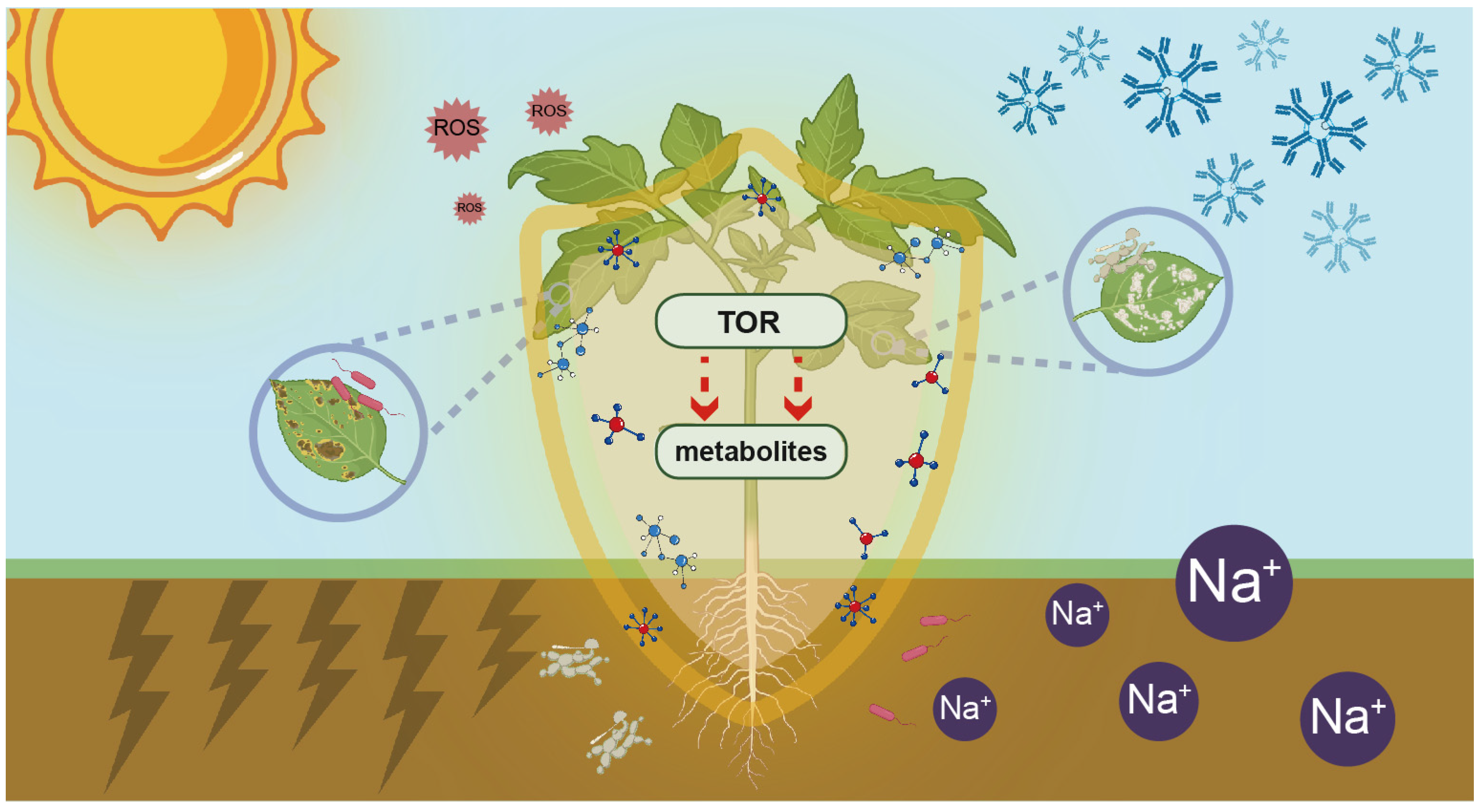 Ijms 26 02095 g002 Ijms 26 02095 g002