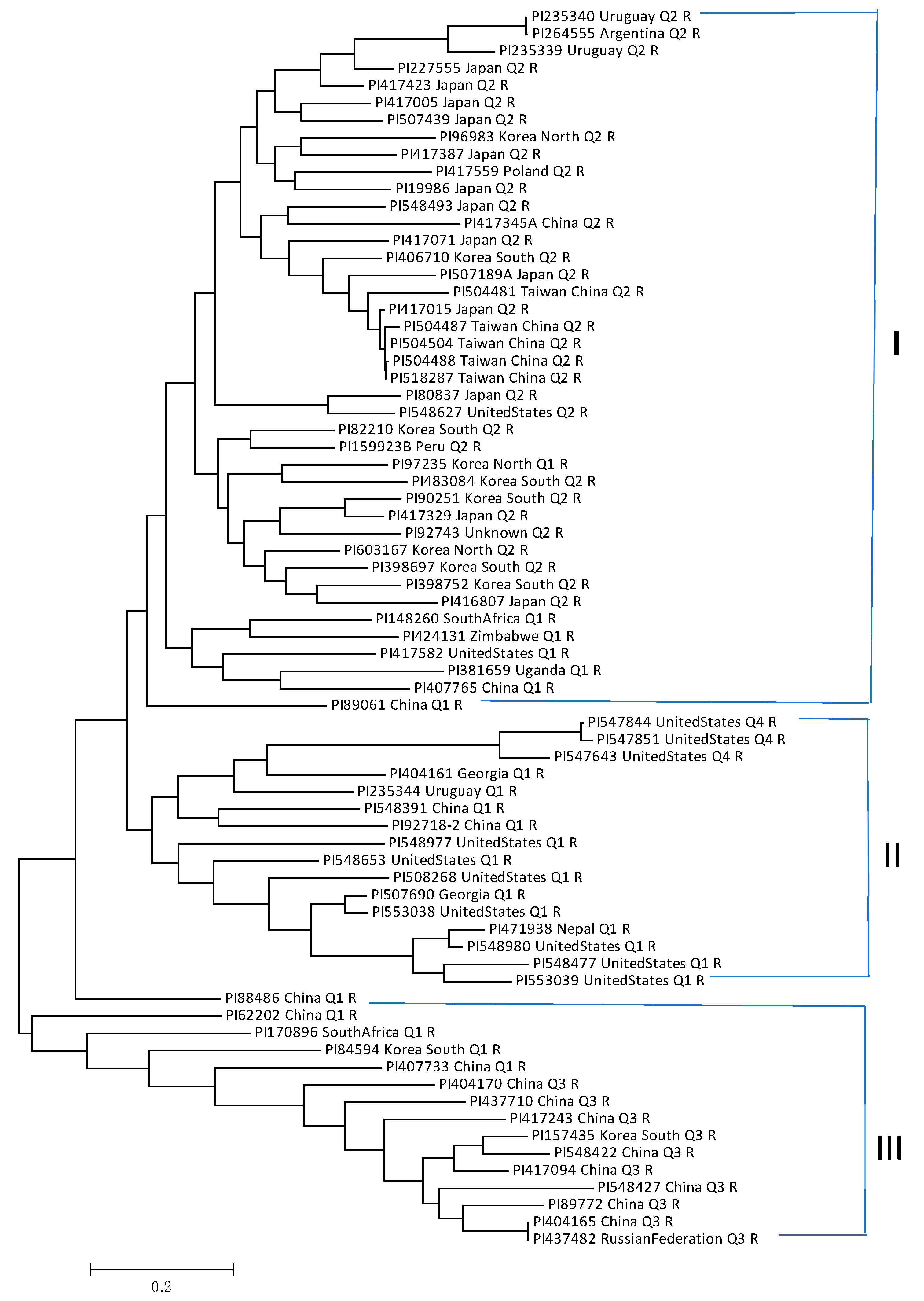 Ijms 26 02106 g006 Ijms 26 02106 g006