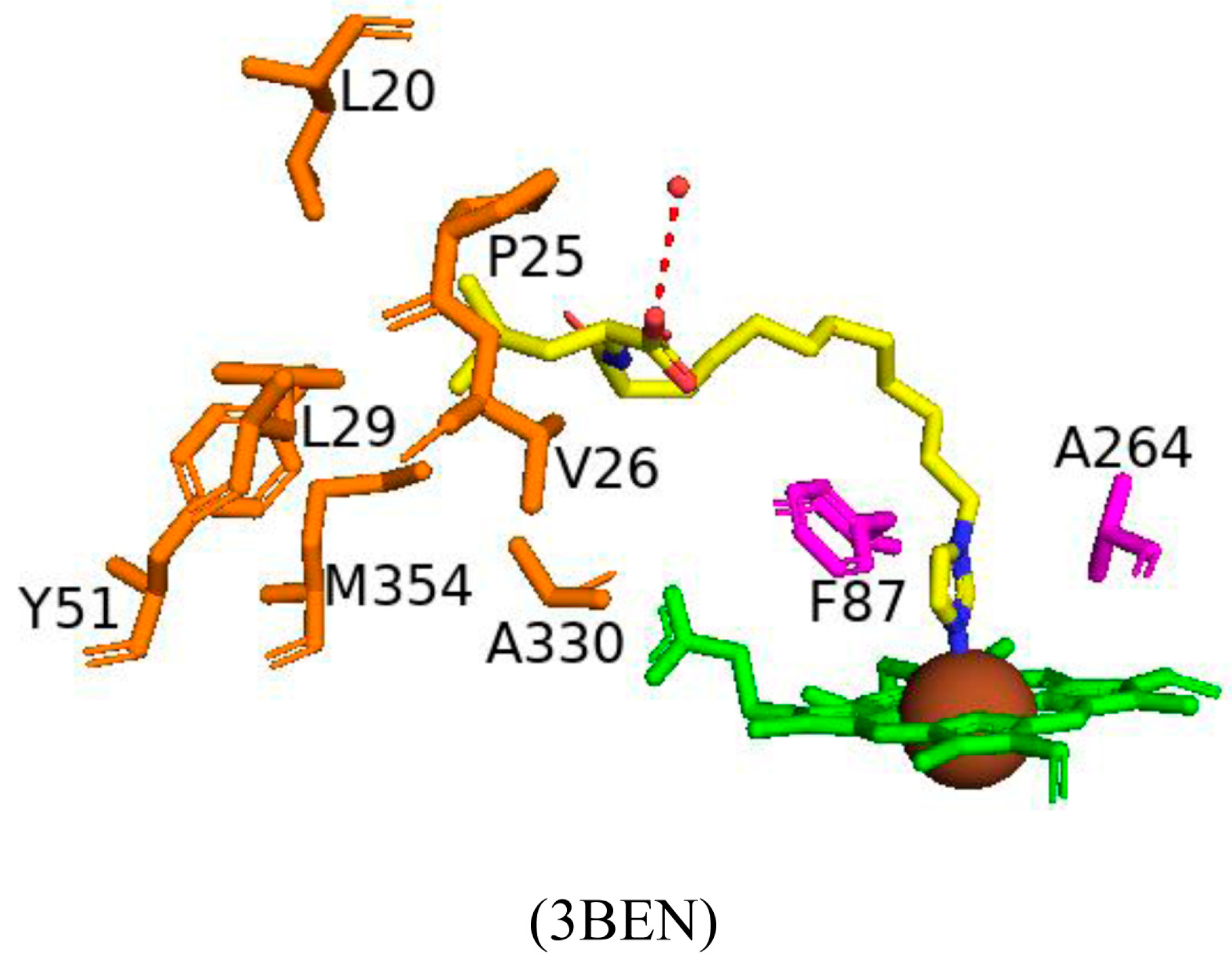Ijms 26 02161 g004 Ijms 26 02161 g004