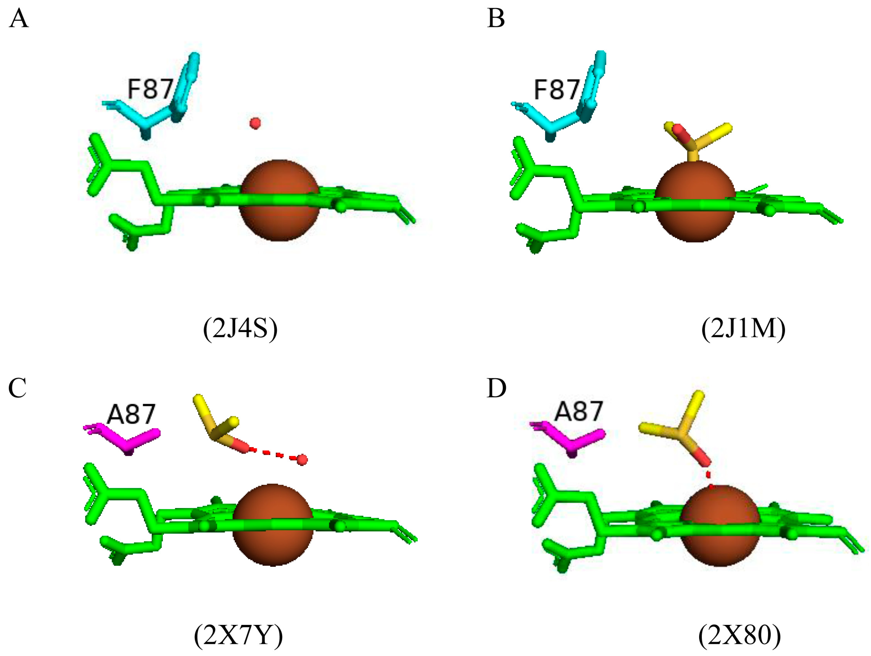 Ijms 26 02161 g005 Ijms 26 02161 g005