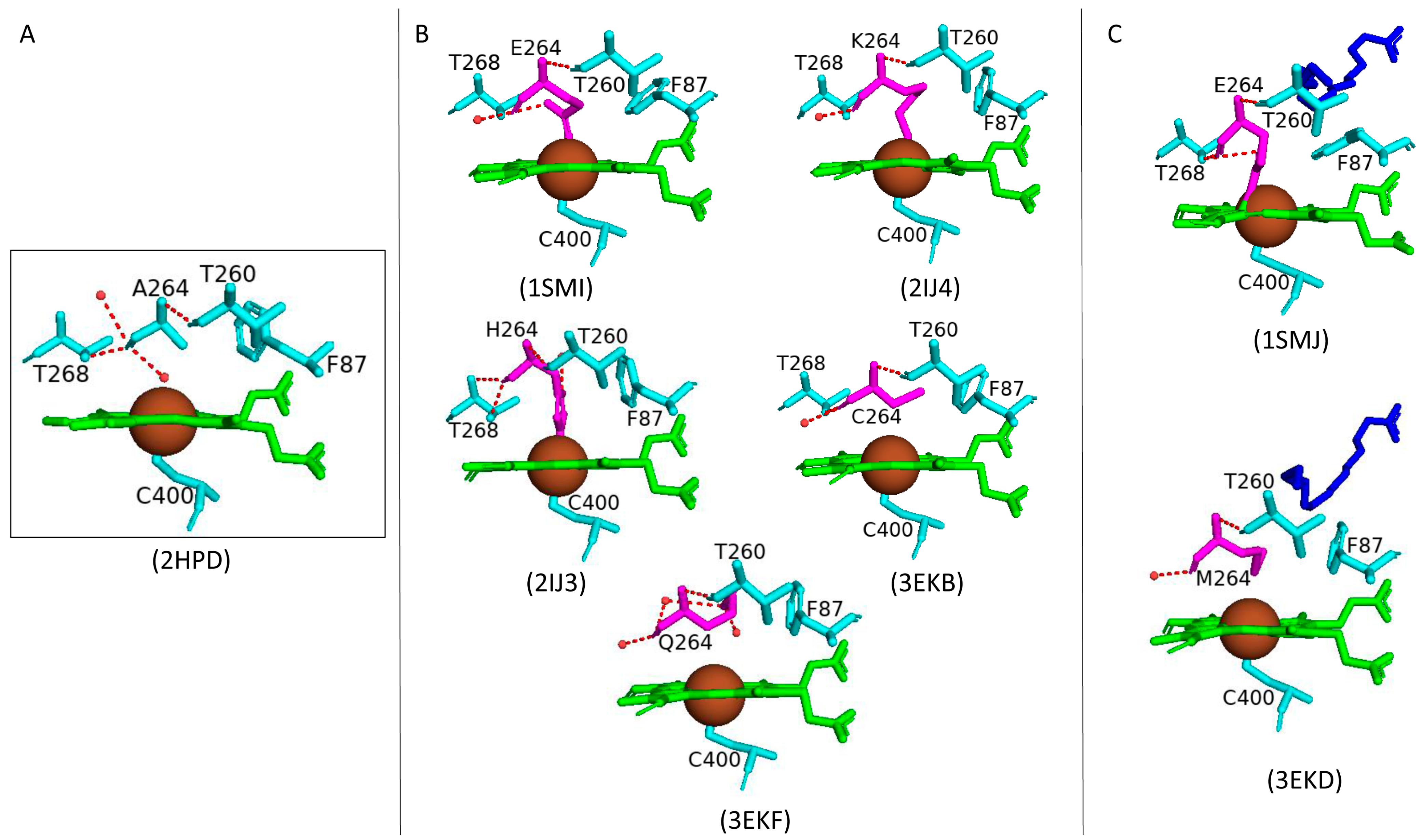 Ijms 26 02161 g007 Ijms 26 02161 g007