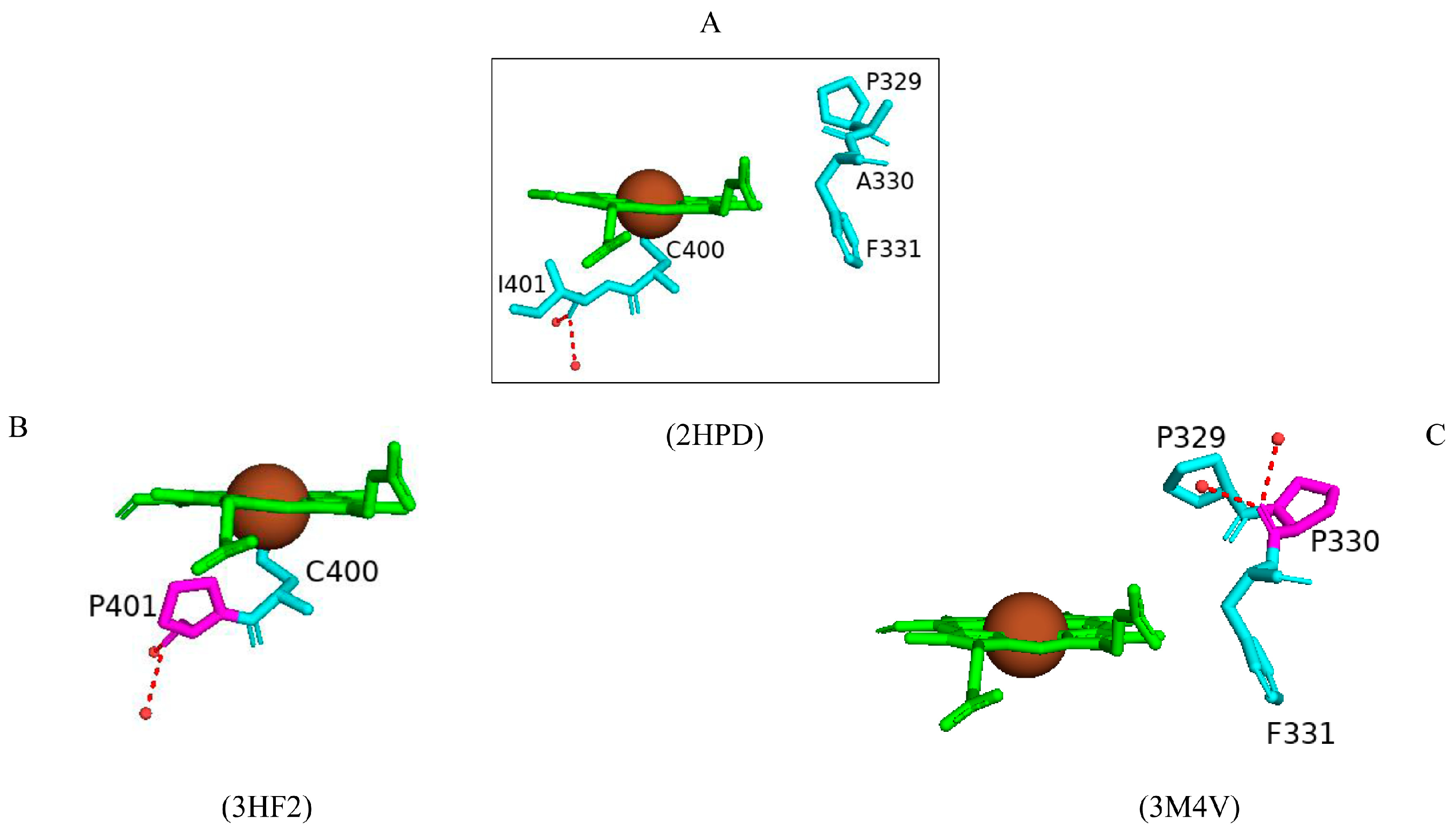 Ijms 26 02161 g009 Ijms 26 02161 g009
