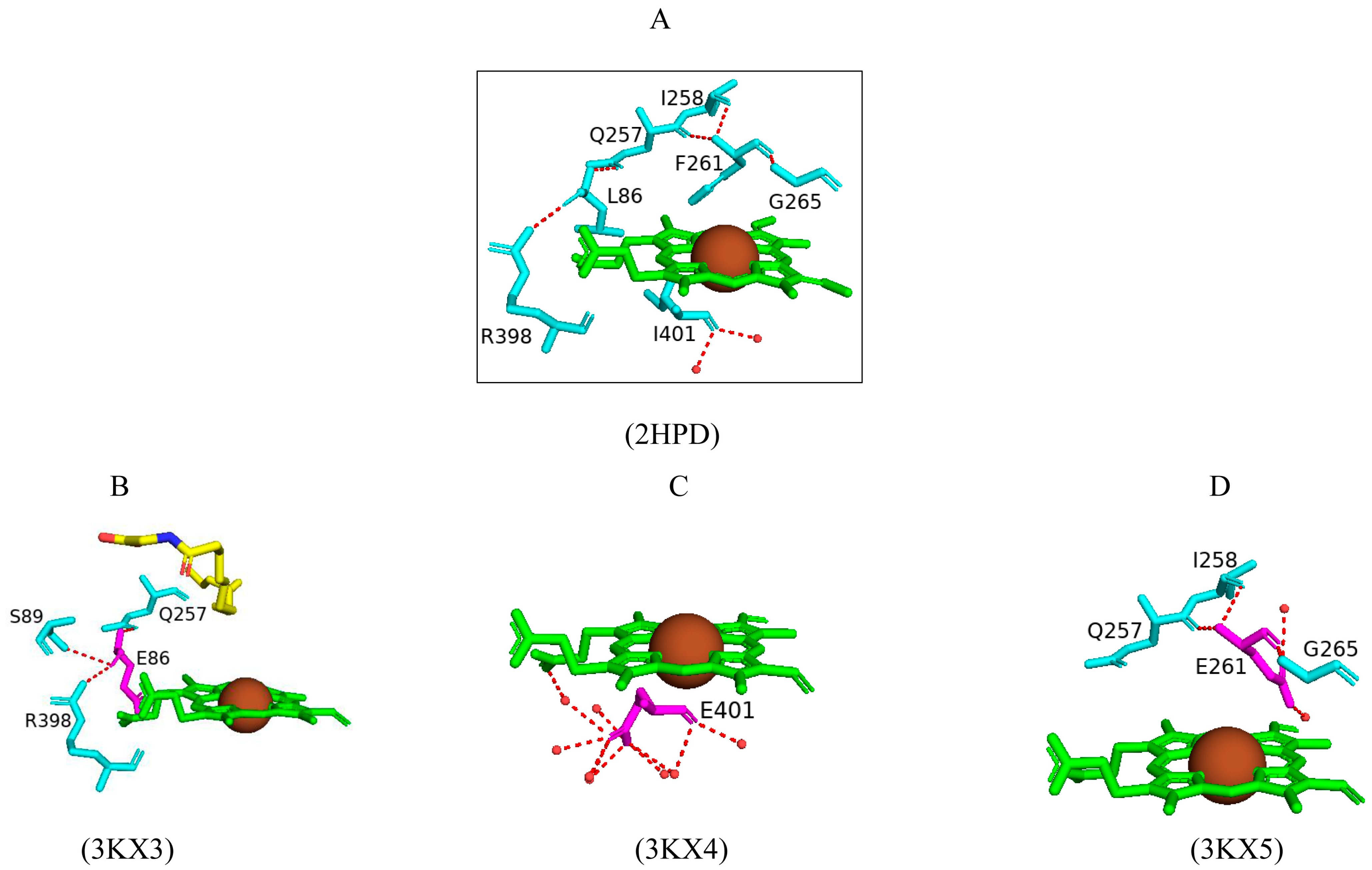 Ijms 26 02161 g010 Ijms 26 02161 g010