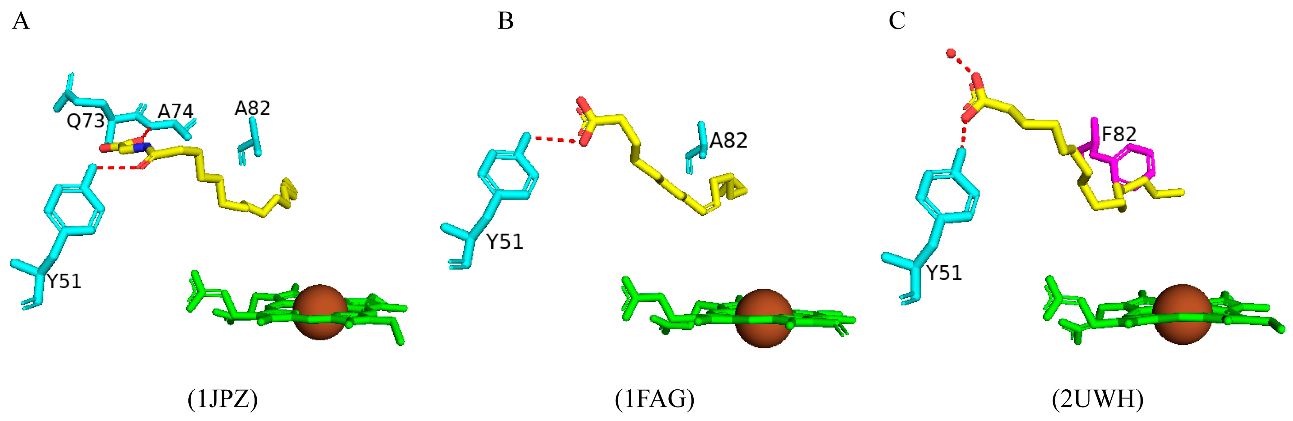 Ijms 26 02161 g015 Ijms 26 02161 g015
