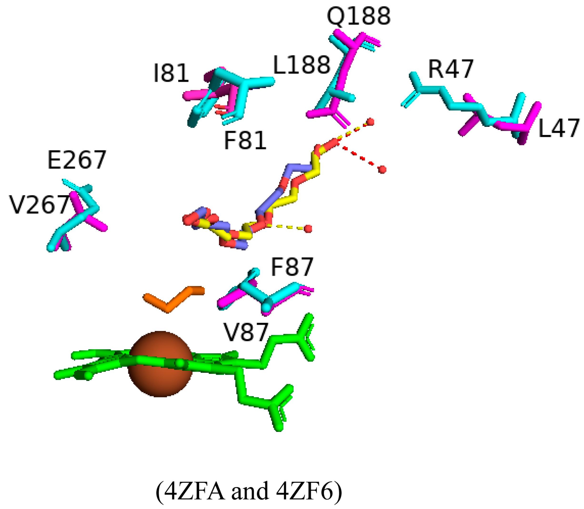 Ijms 26 02161 g021 Ijms 26 02161 g021