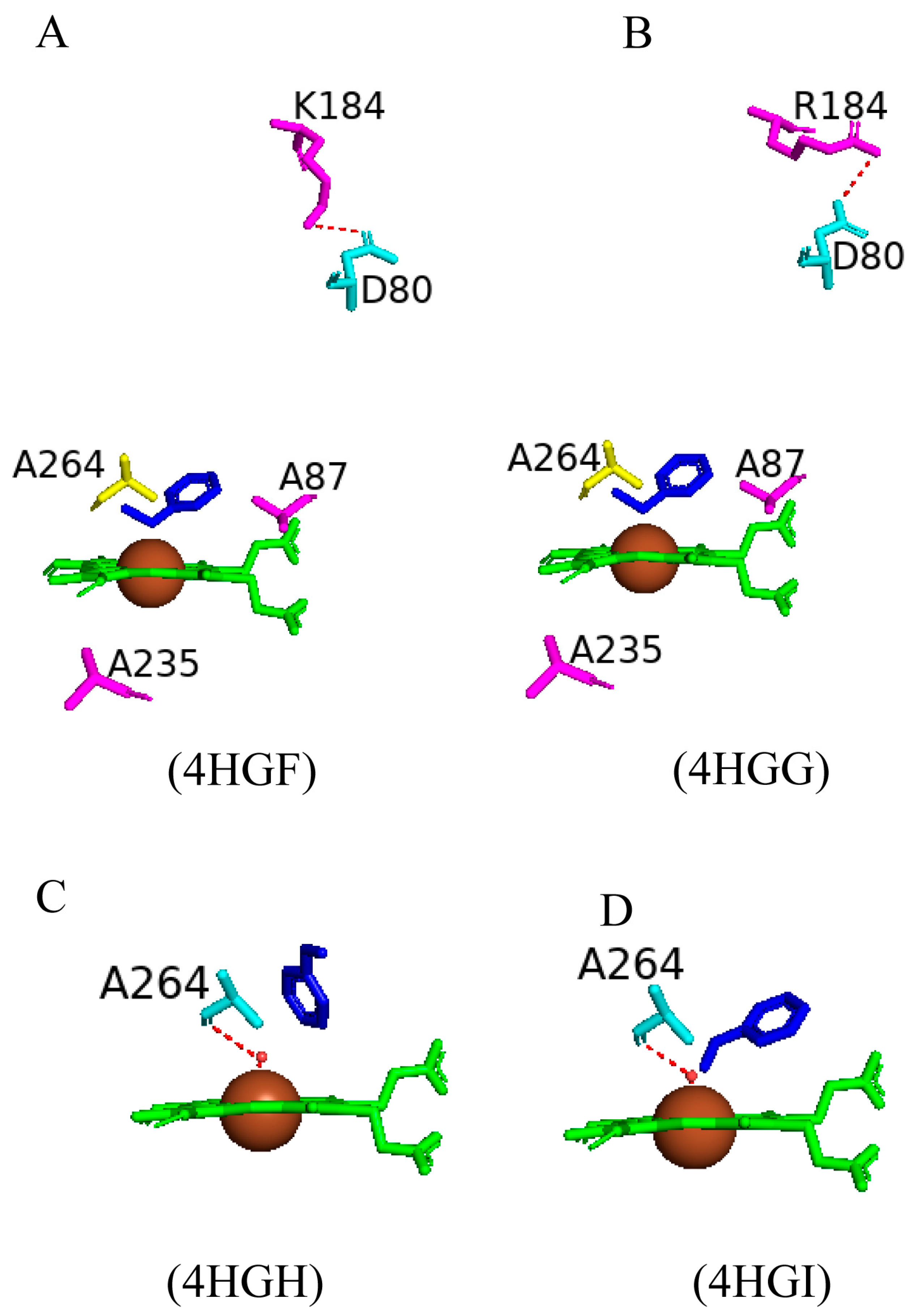Ijms 26 02161 g024 Ijms 26 02161 g024