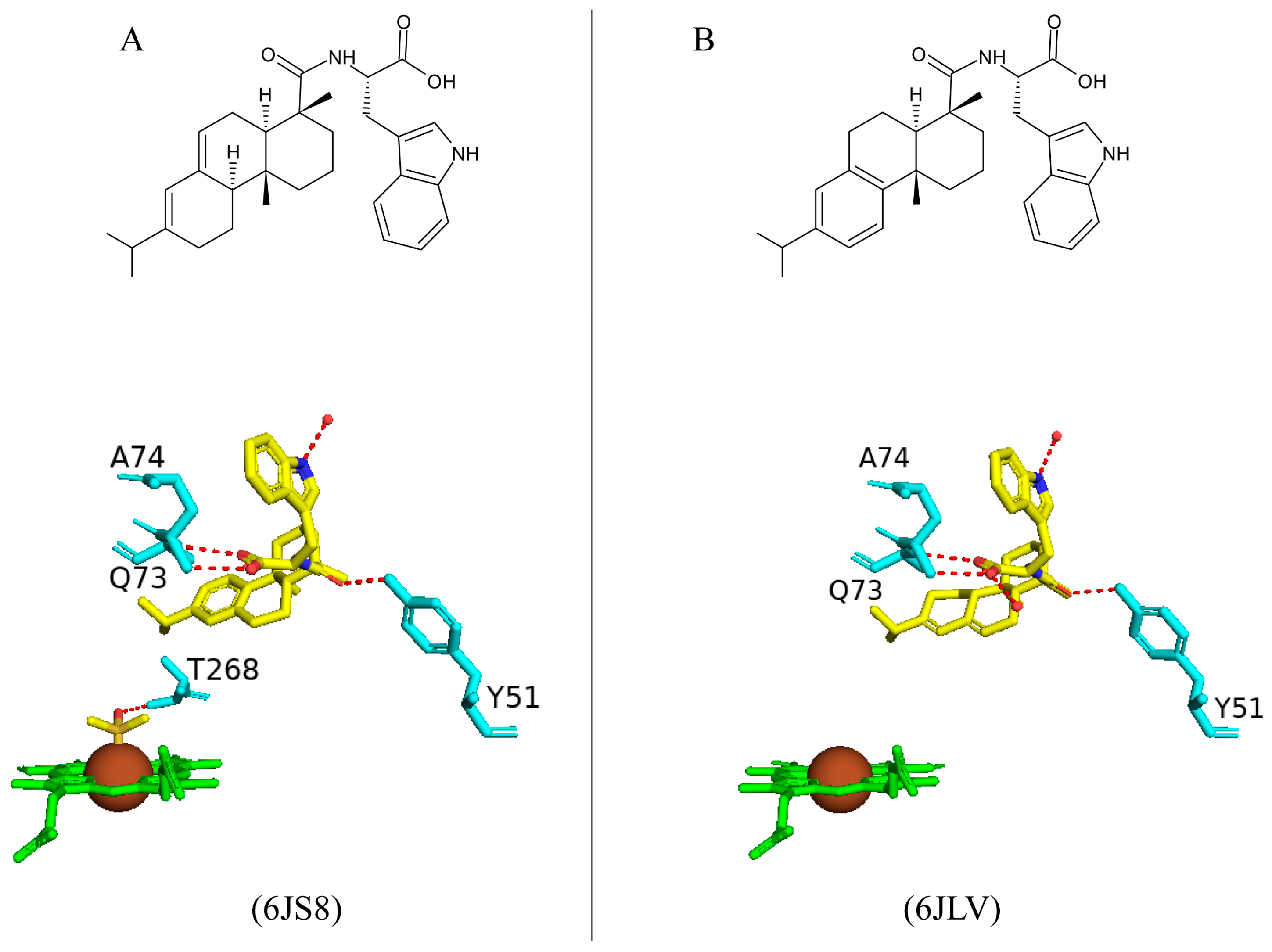 Ijms 26 02161 g030 Ijms 26 02161 g030