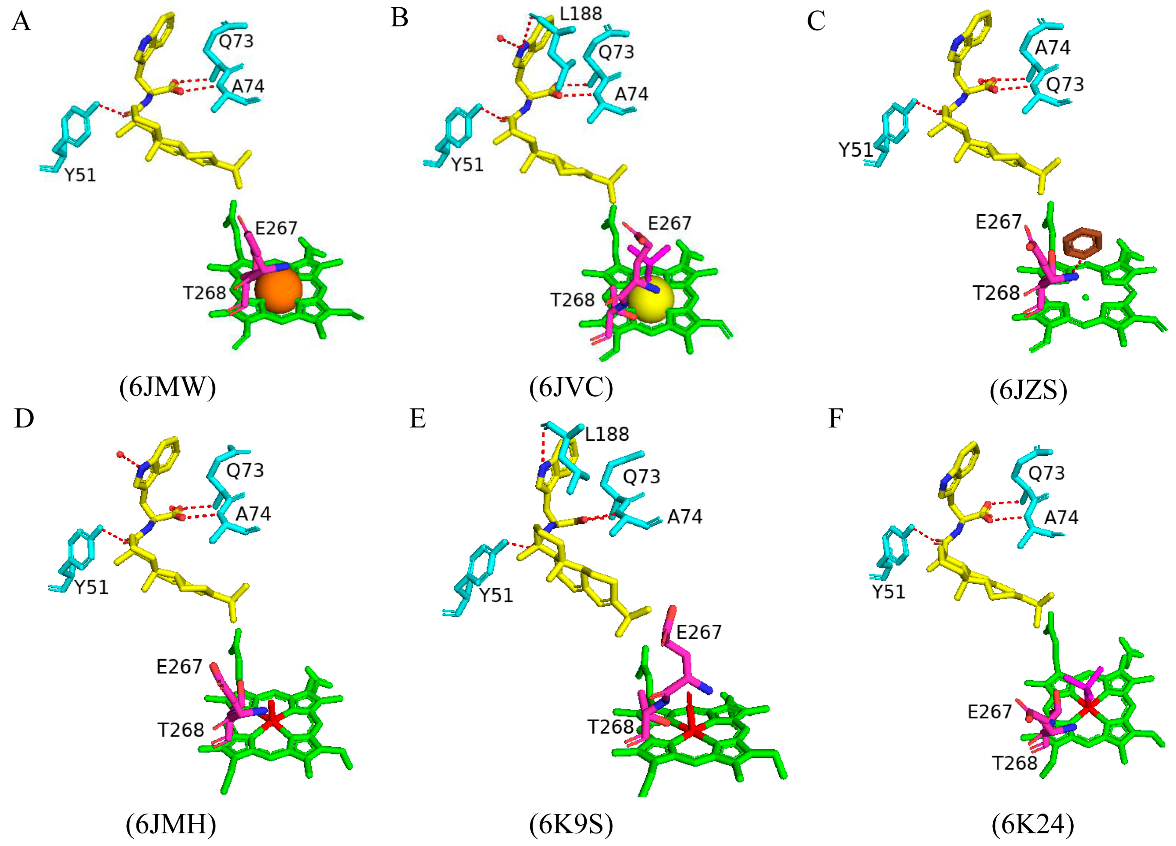 Ijms 26 02161 g032 Ijms 26 02161 g032