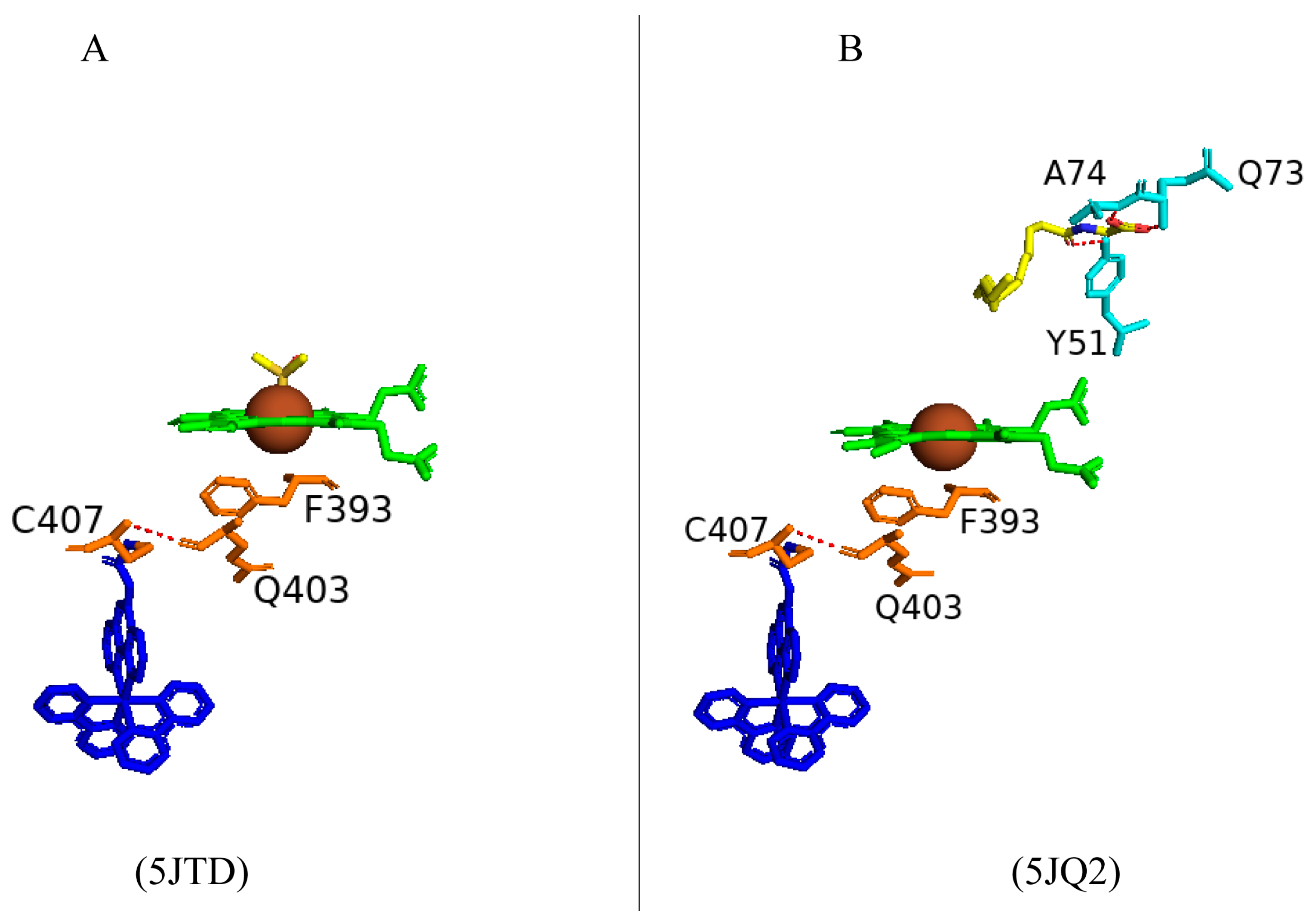 Ijms 26 02161 g033 Ijms 26 02161 g033
