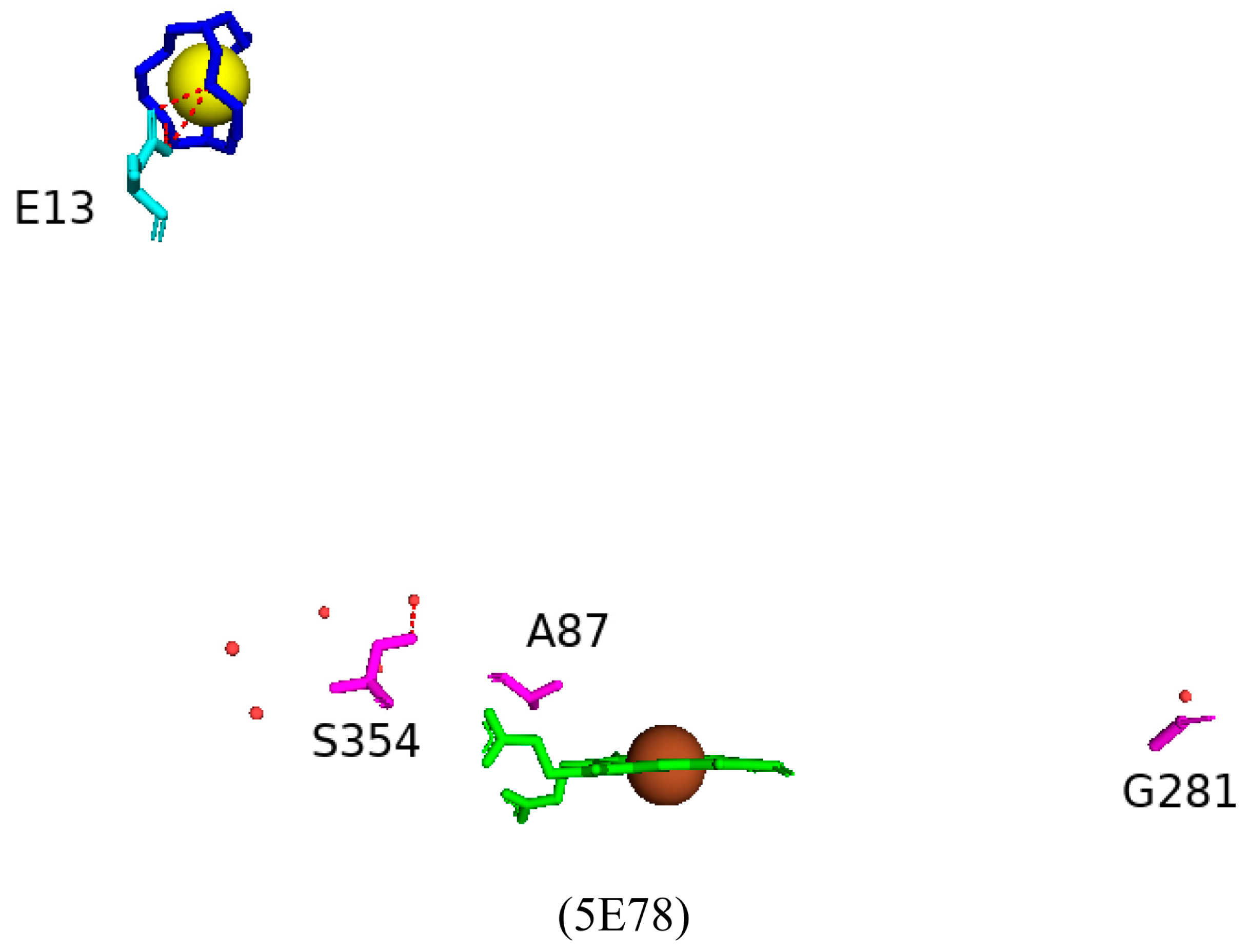 Ijms 26 02161 g034 Ijms 26 02161 g034