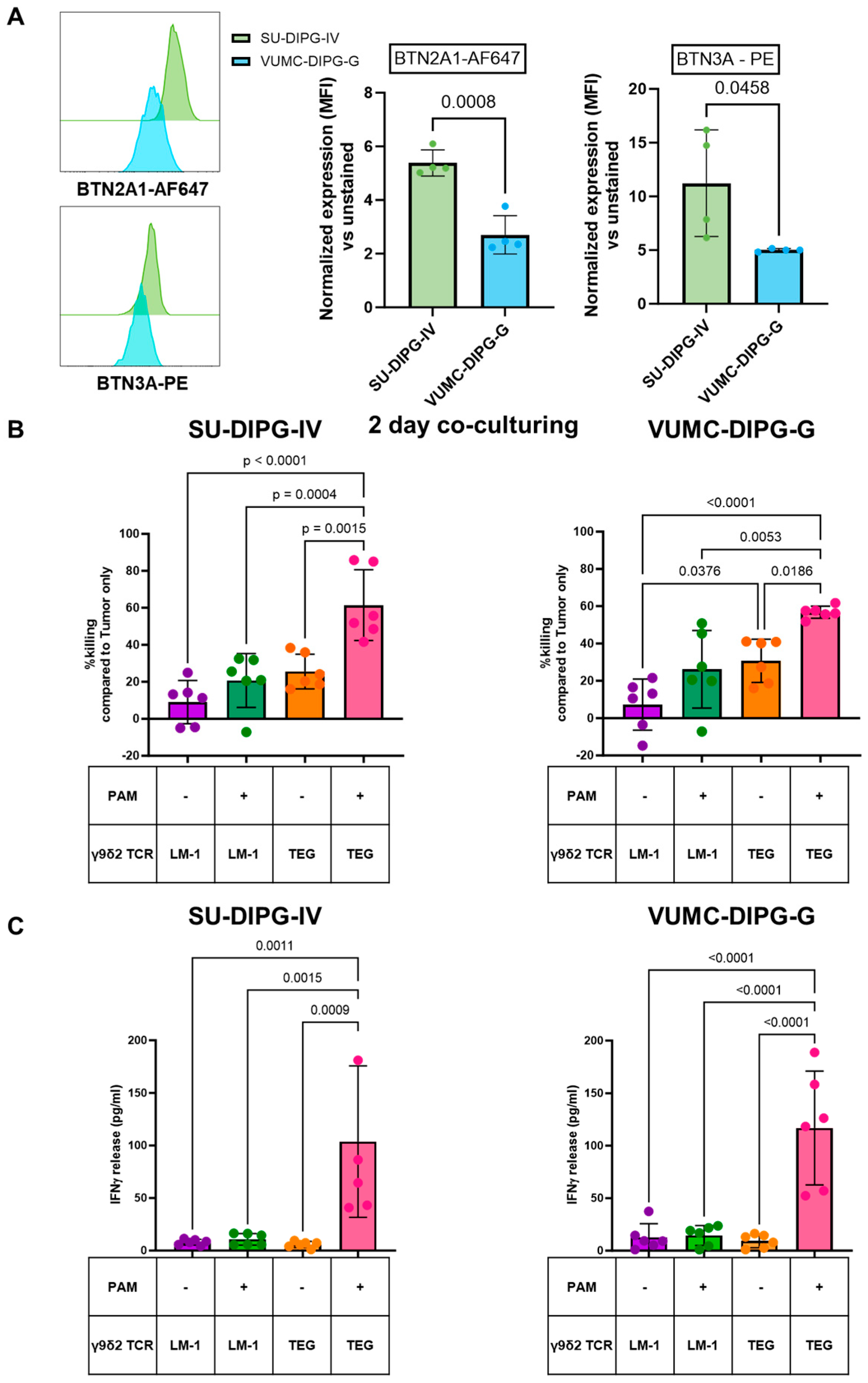 Ijms 26 02167 g001 Ijms 26 02167 g001