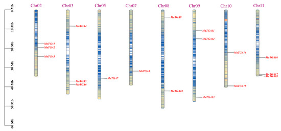 Genome-Wide Identification and Expression Analysis of the