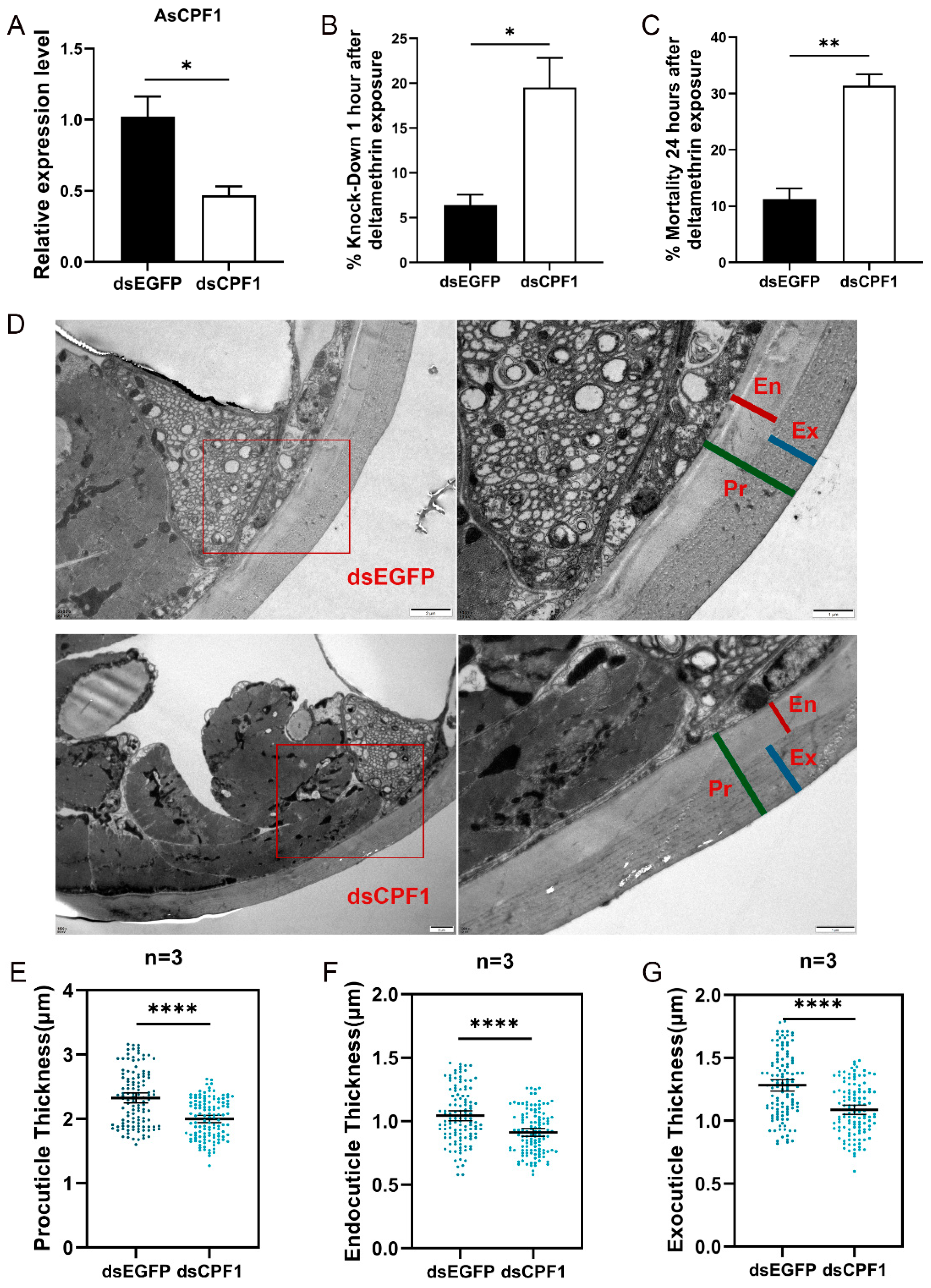Ijms 26 02182 g007 Ijms 26 02182 g007