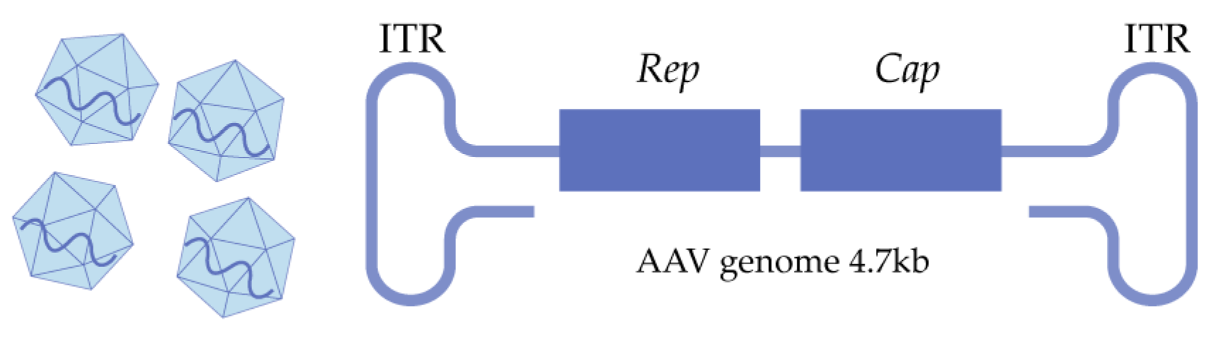 Ijms 26 02213 g001 Ijms 26 02213 g001