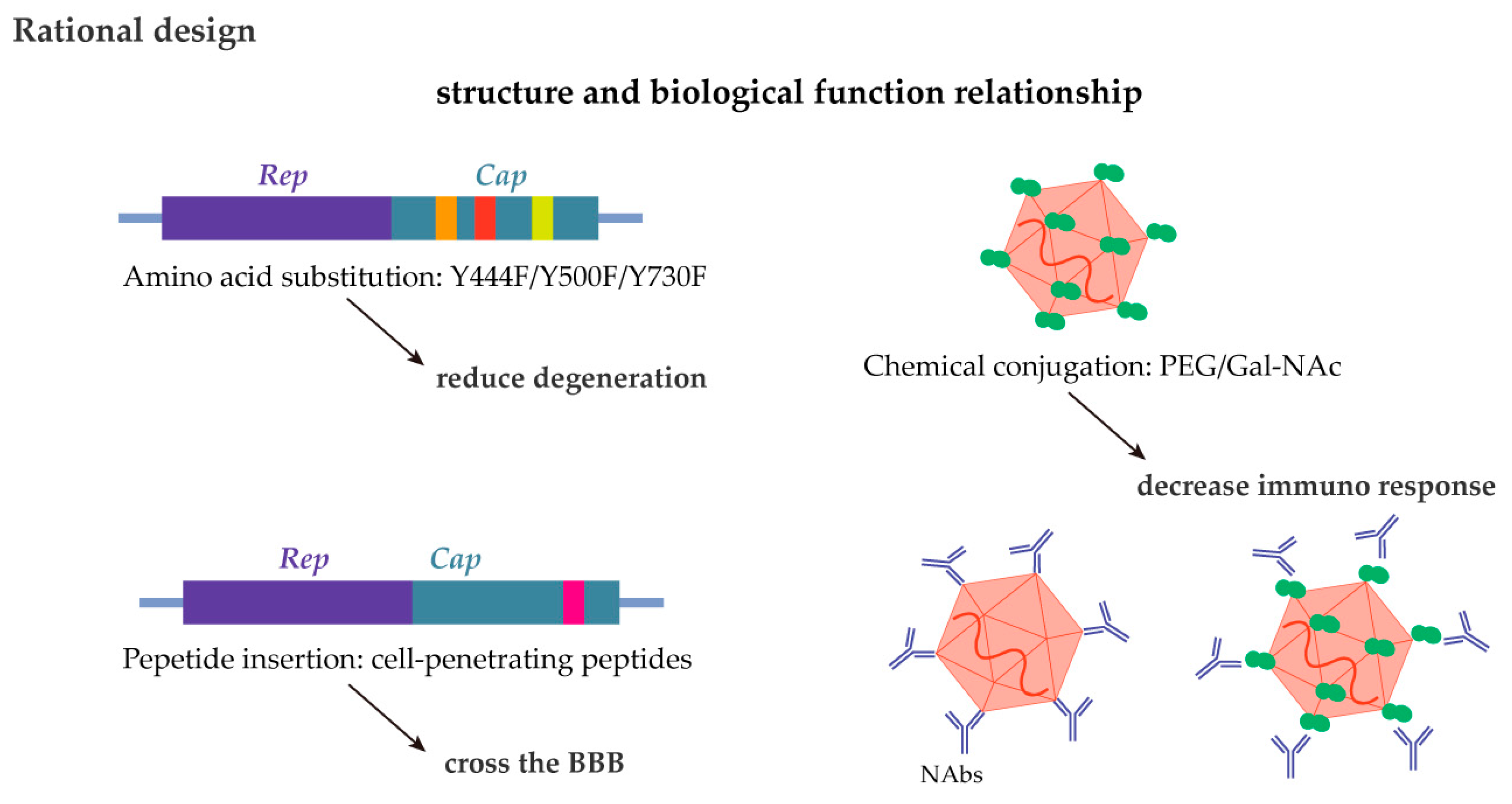 Ijms 26 02213 g004 Ijms 26 02213 g004