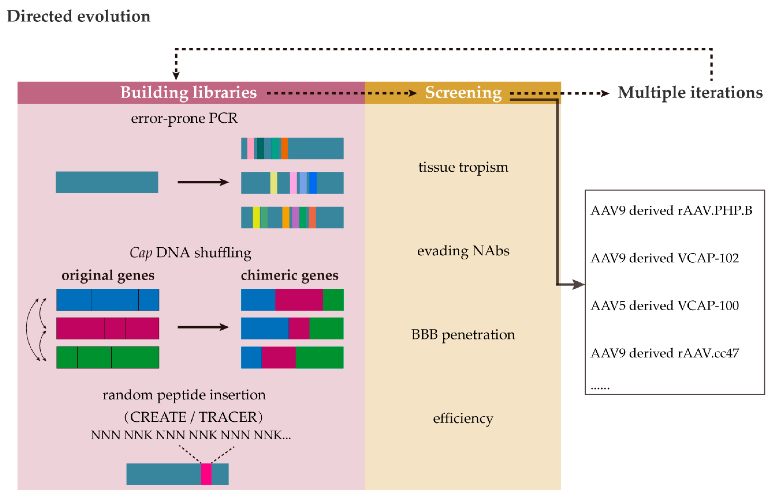 Ijms 26 02213 g005 Ijms 26 02213 g005
