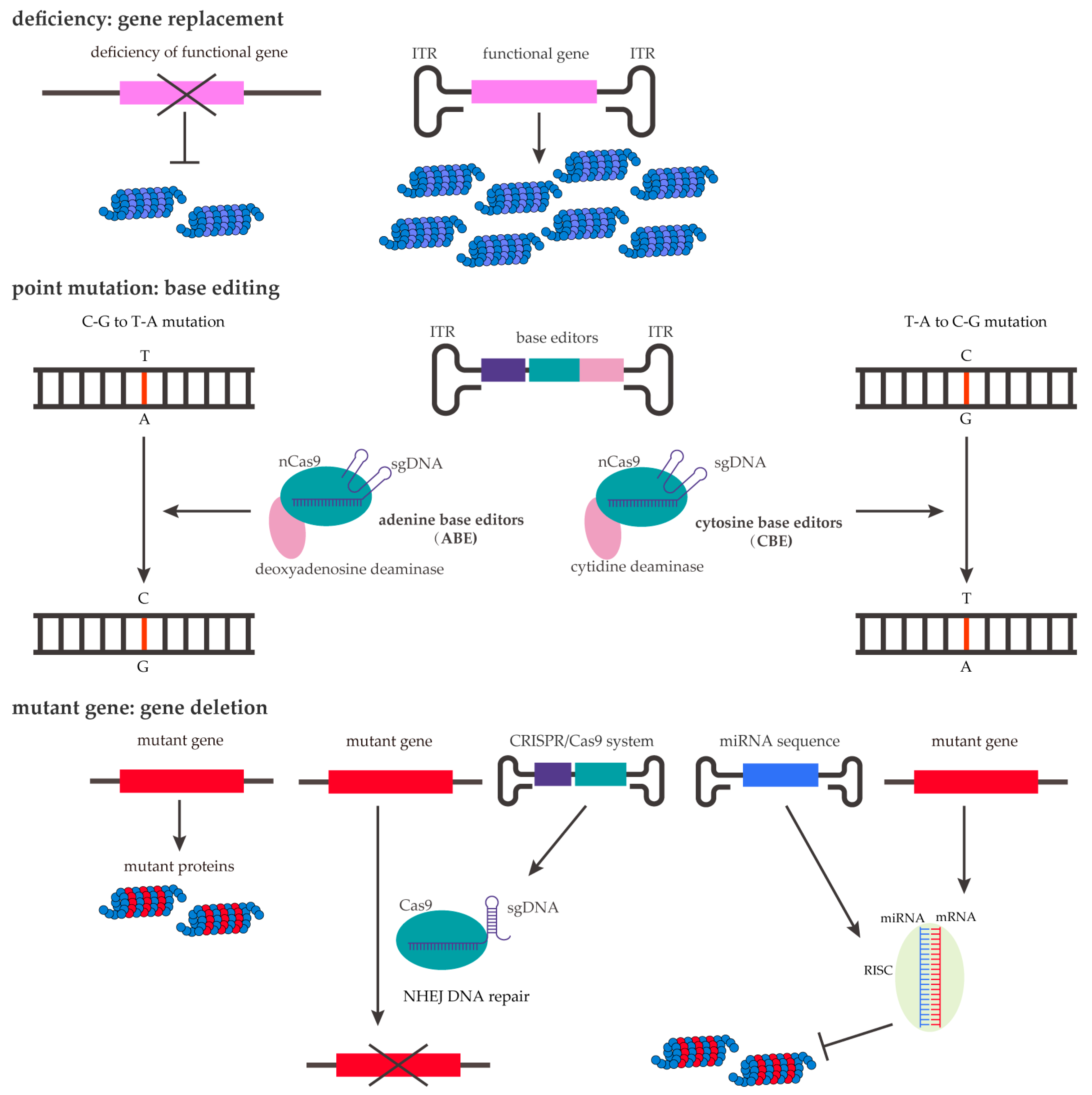 Ijms 26 02213 g006 Ijms 26 02213 g006